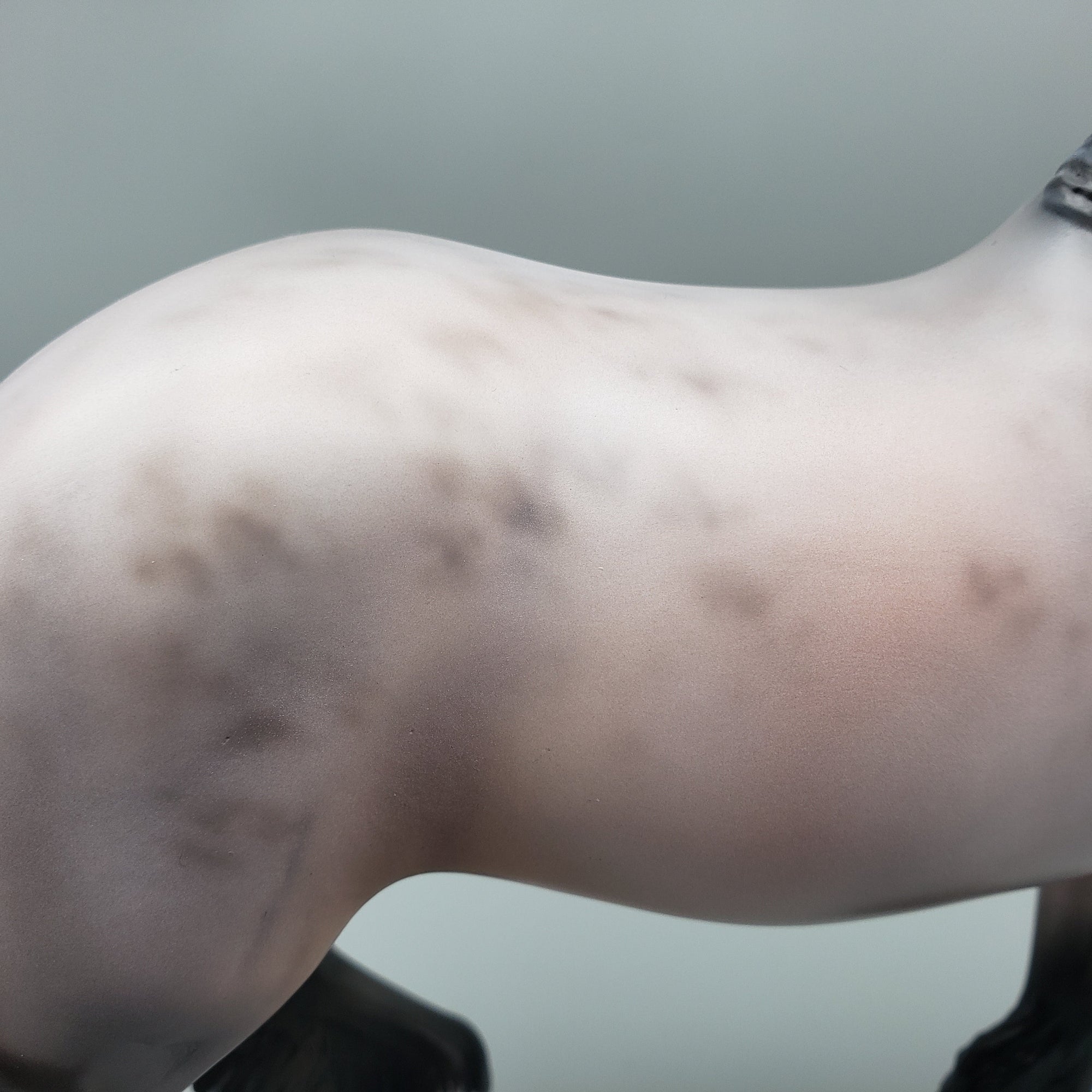 Chaperon OOAK Bay Roan Trotting Drafter By Jess Hamill Best Offers 7/10/23