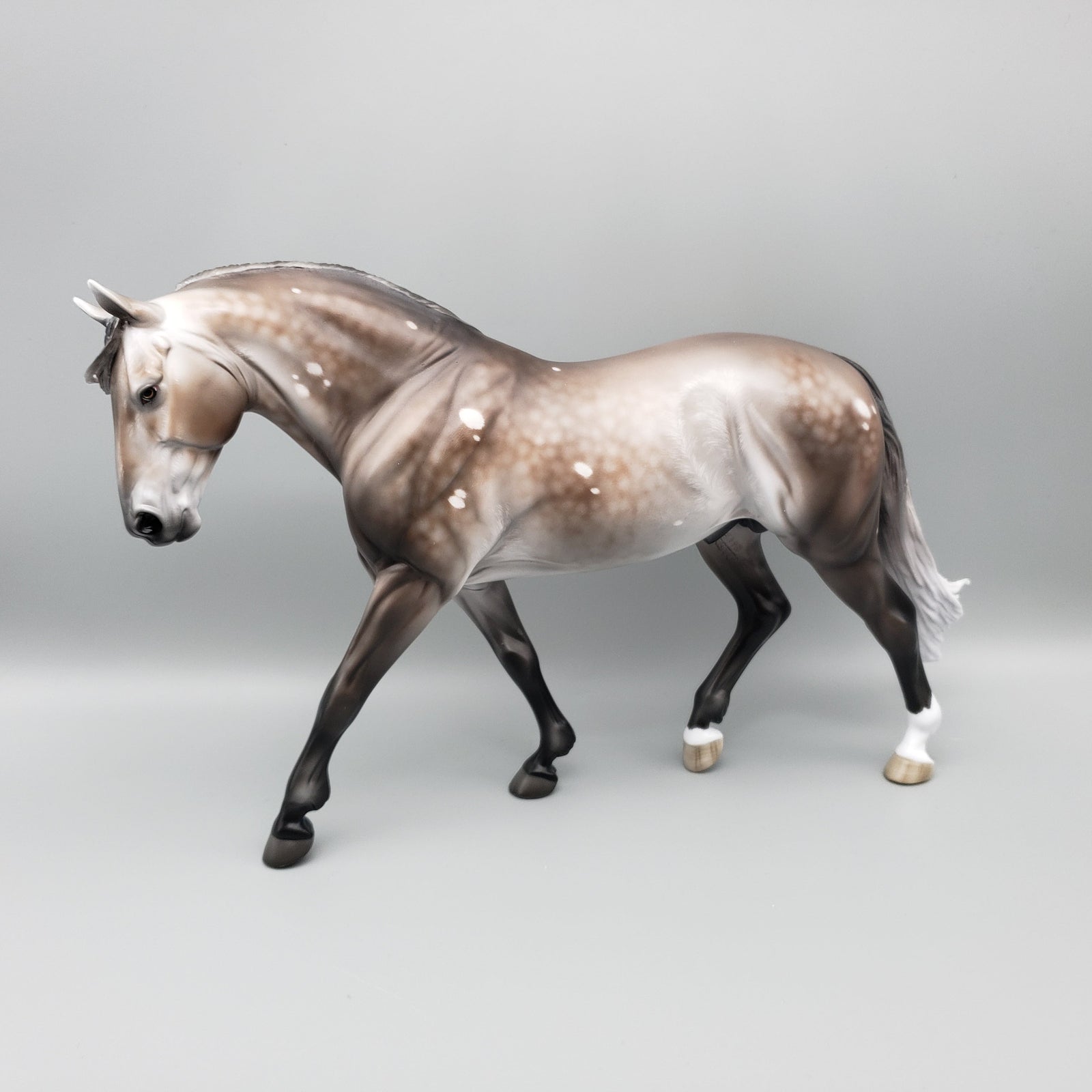 Sentinel OOAK Bay Going Grey With Bird Catcher Spots Irish Draught By Jess Hamill Best Offers 7/10/23