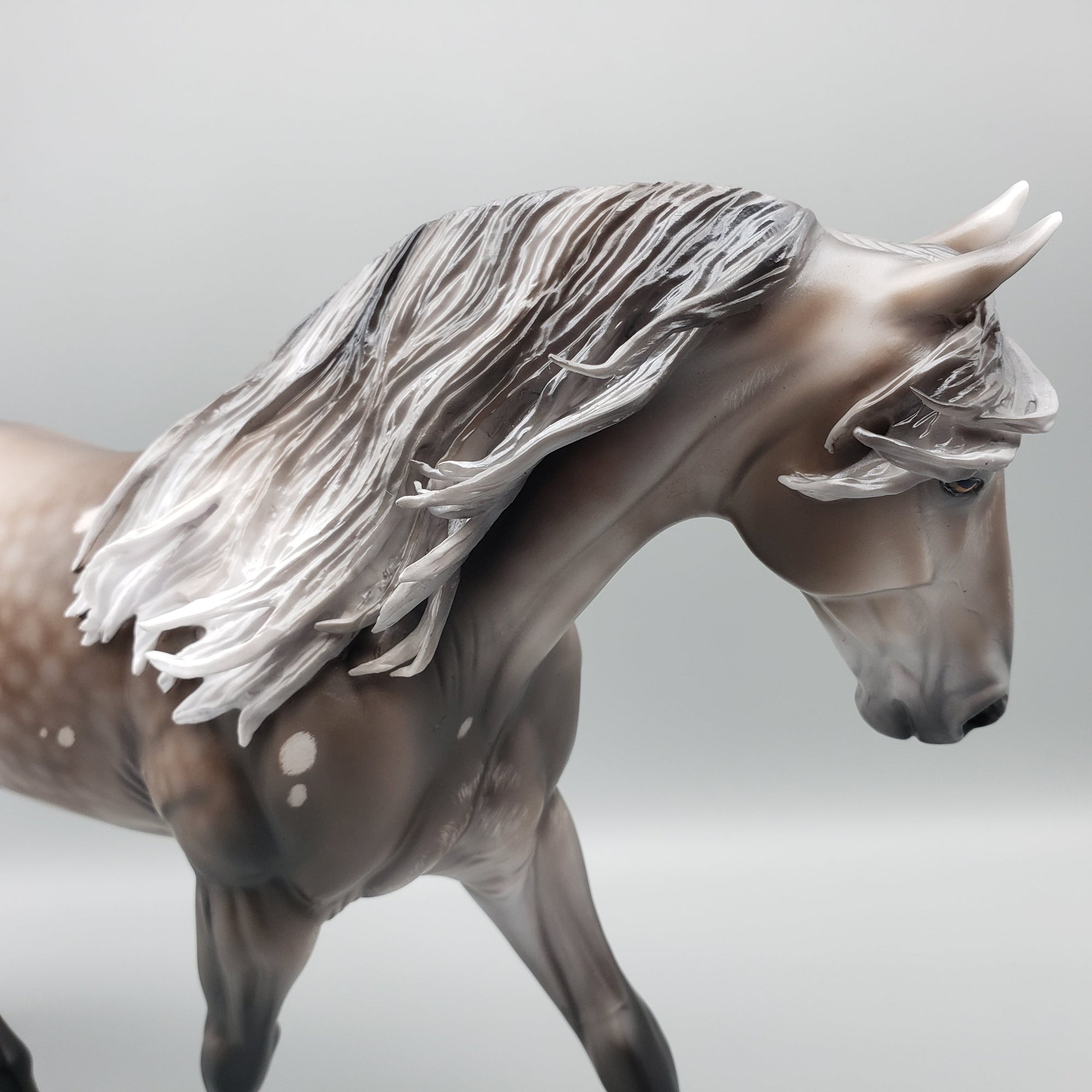 Sentinel OOAK Bay Going Grey With Bird Catcher Spots Irish Draught By Jess Hamill Best Offers 7/10/23