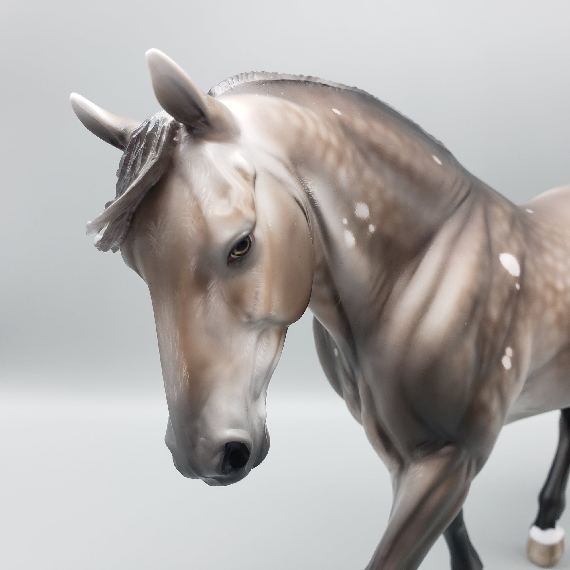 Sentinel OOAK Bay Going Grey With Bird Catcher Spots Irish Draught By Jess Hamill Best Offers 7/10/23