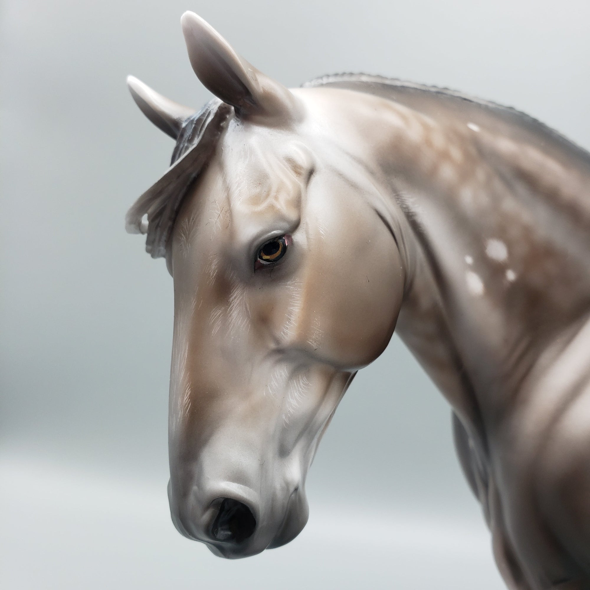 Sentinel OOAK Bay Going Grey With Bird Catcher Spots Irish Draught By Jess Hamill Best Offers 7/10/23