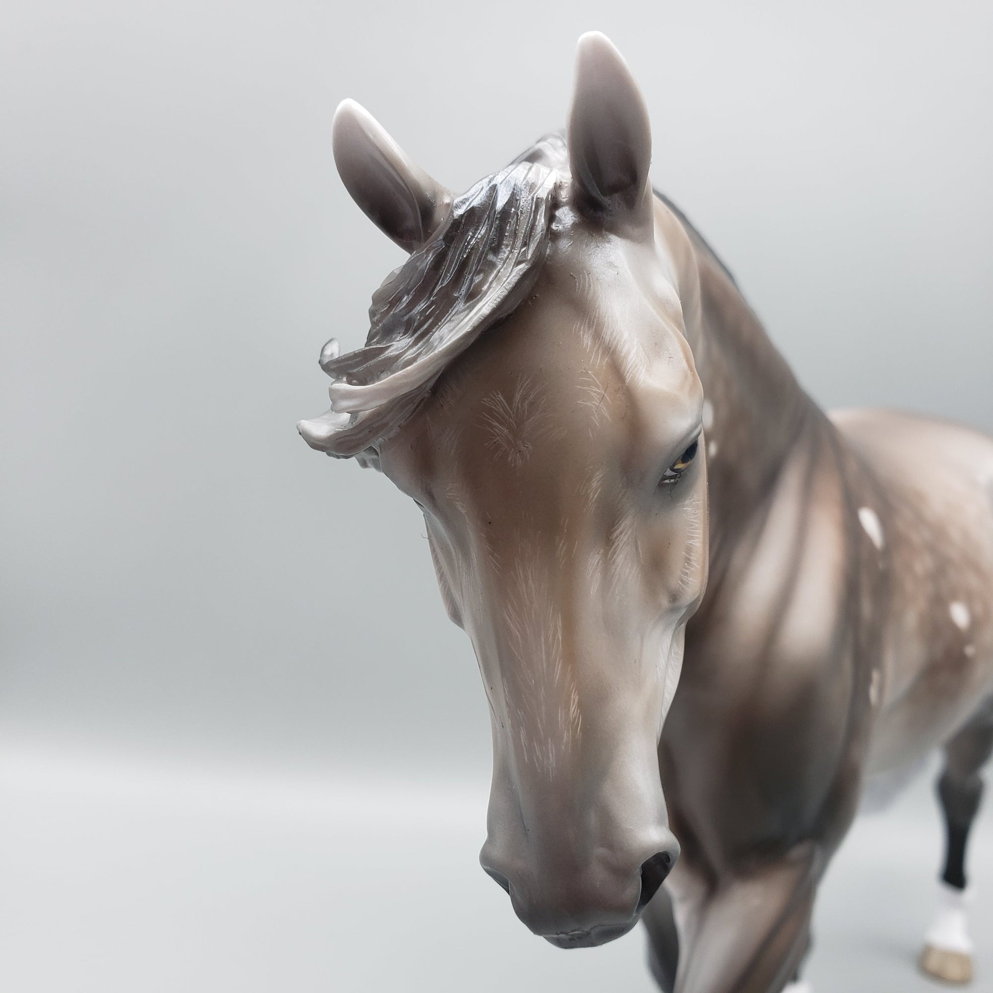 Sentinel OOAK Bay Going Grey With Bird Catcher Spots Irish Draught By Jess Hamill Best Offers 7/10/23