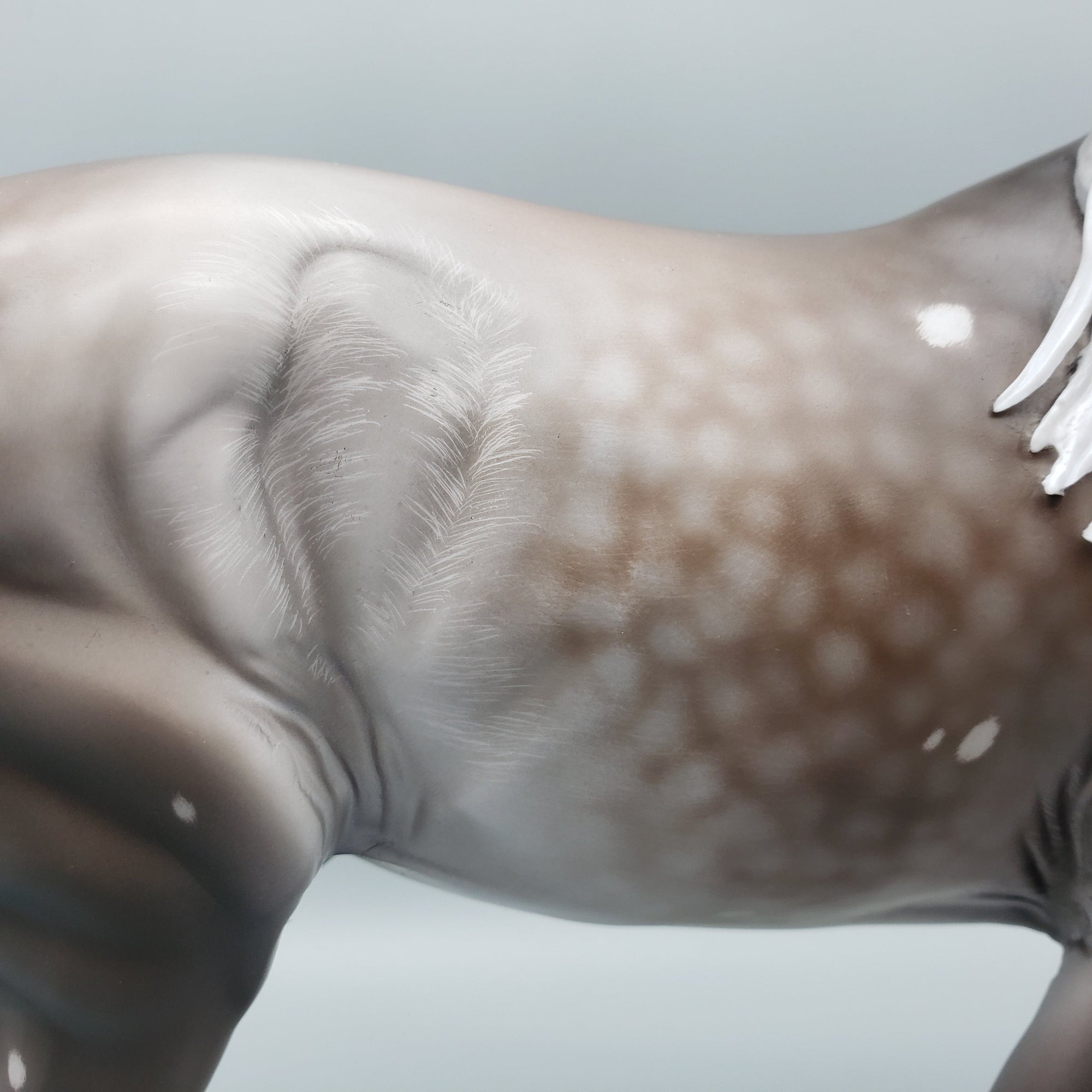 Sentinel OOAK Bay Going Grey With Bird Catcher Spots Irish Draught By Jess Hamill Best Offers 7/10/23