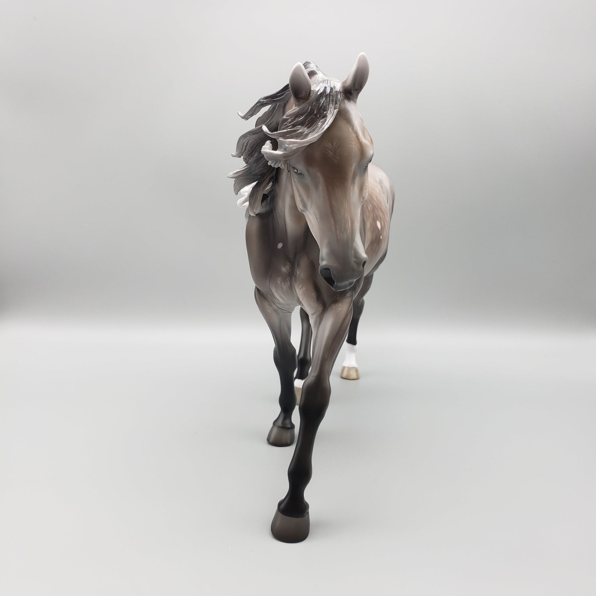 Sentinel OOAK Bay Going Grey With Bird Catcher Spots Irish Draught By Jess Hamill Best Offers 7/10/23