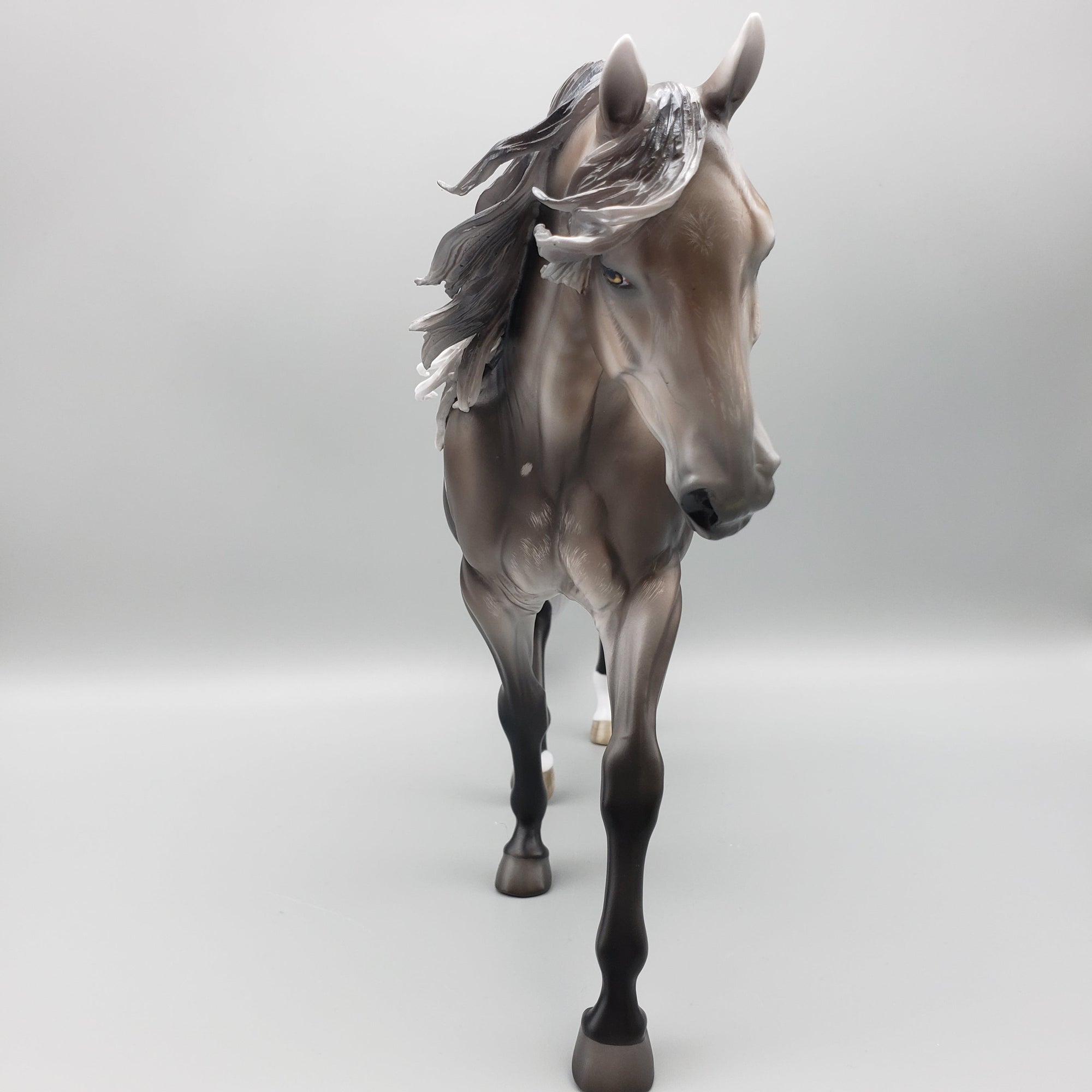 Sentinel OOAK Bay Going Grey With Bird Catcher Spots Irish Draught By Jess Hamill Best Offers 7/10/23