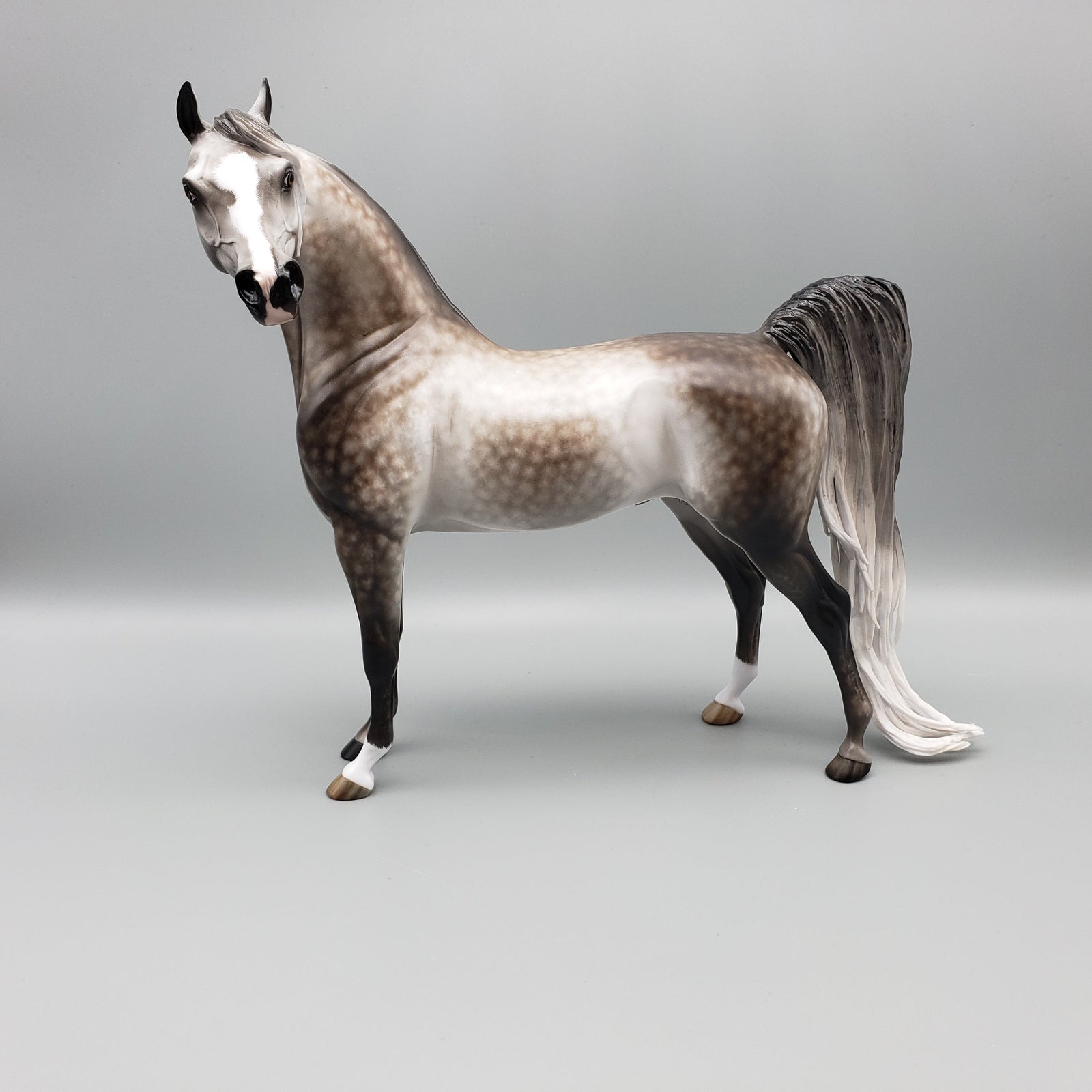 Kunal OOAK Dapple Grey Arabian By Sheryl Leisure Best Offers 7/15/23 EQ23