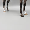 Kunal OOAK Dapple Grey Arabian By Sheryl Leisure Best Offers 7/15/23 EQ23