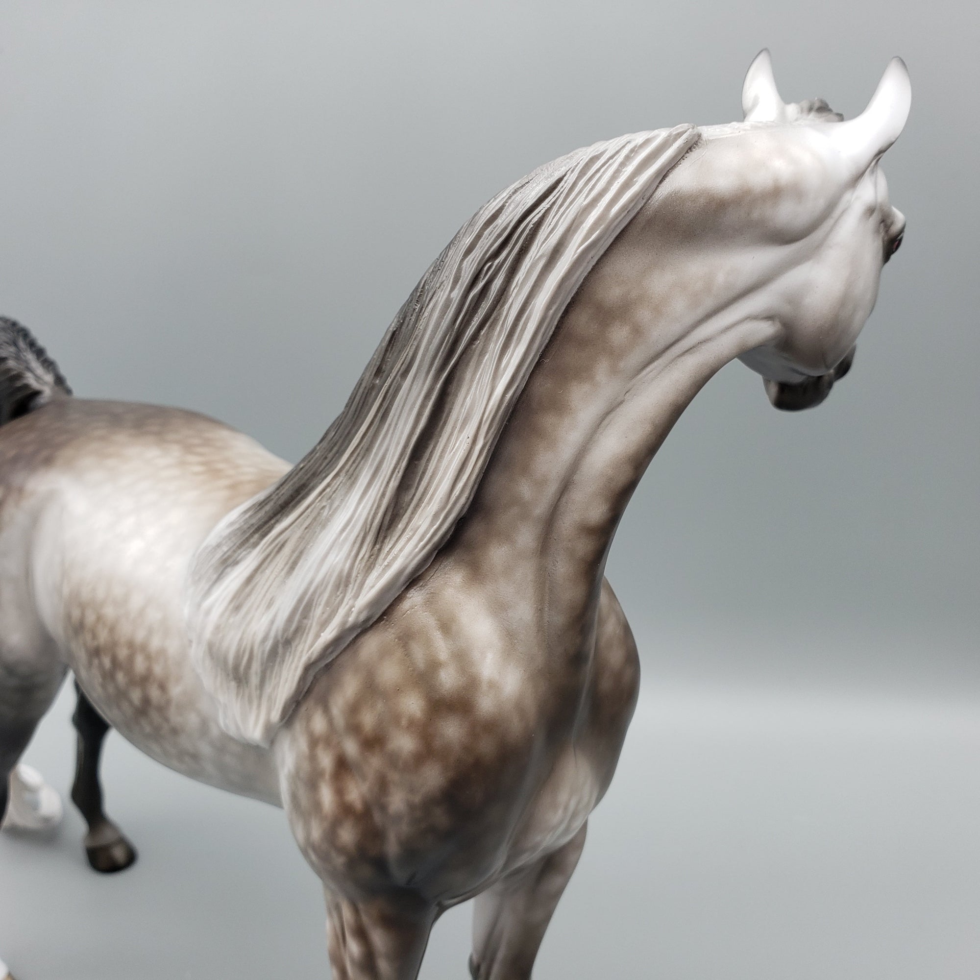 Kunal OOAK Dapple Grey Arabian By Sheryl Leisure Best Offers 7/15/23 EQ23