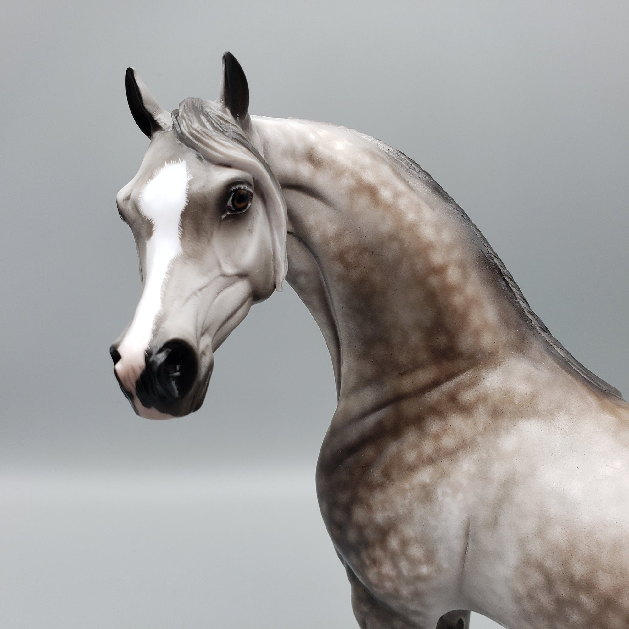 Kunal OOAK Dapple Grey Arabian By Sheryl Leisure Best Offers 7/15/23 EQ23