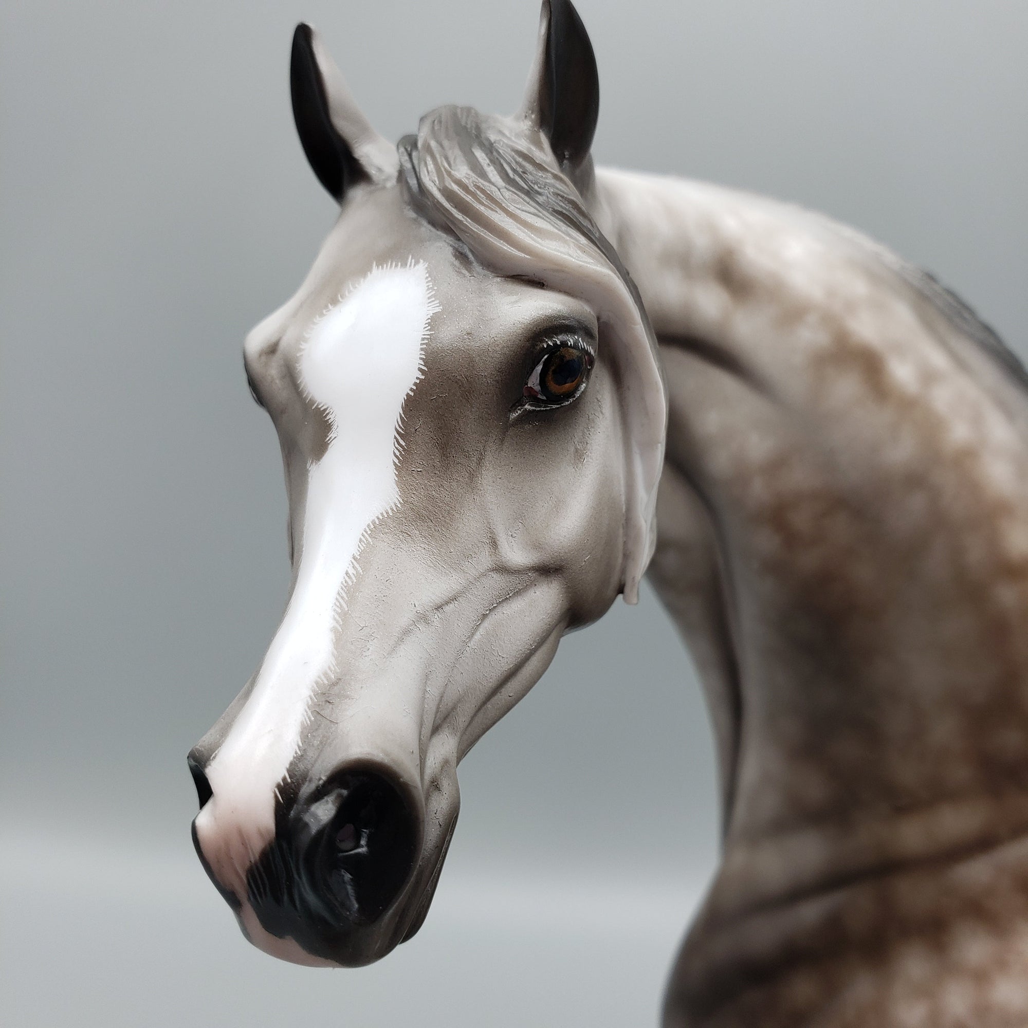 Kunal OOAK Dapple Grey Arabian By Sheryl Leisure Best Offers 7/15/23 EQ23