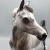 Kunal OOAK Dapple Grey Arabian By Sheryl Leisure Best Offers 7/15/23 EQ23