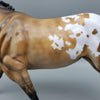 Odin OOAK Dun Appaloosa Running Stock Horse By Julie Keim Equilocity Best Offers 7/15/23 EQ23