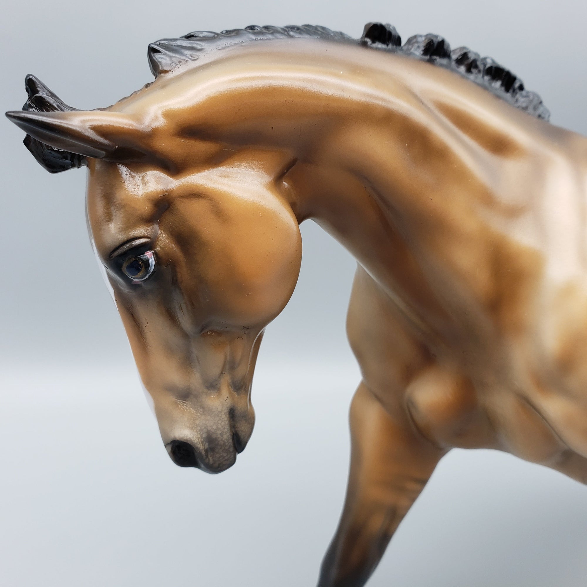 Odin OOAK Dun Appaloosa Running Stock Horse By Julie Keim Equilocity Best Offers 7/15/23 EQ23