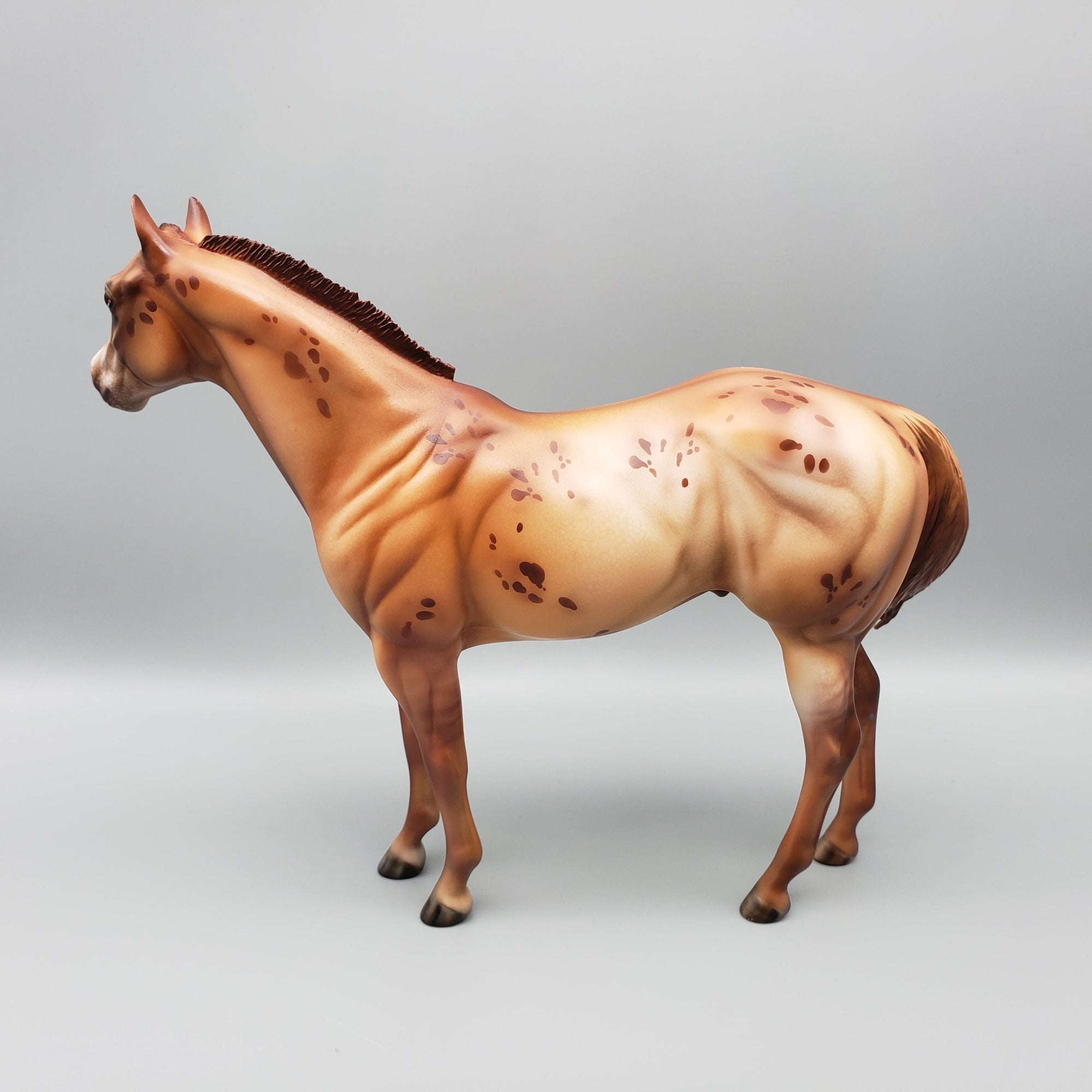Ember OOAK Red Dun Appy Ideal Stock Horse By Julie Keim Equilocity Best Offers 7/15/23 EQ23