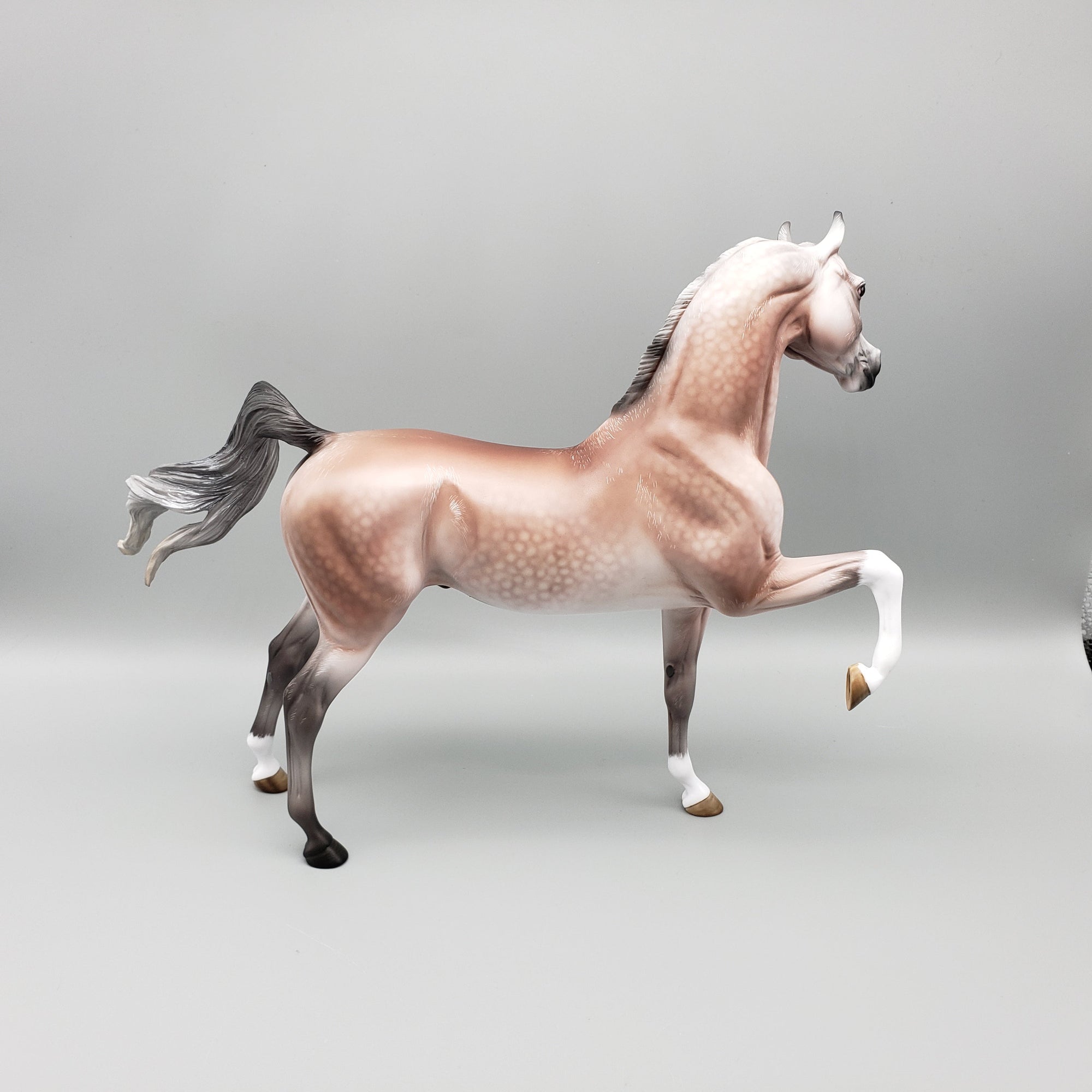 Dynasty OOAK Dappled Rose Grey Arab Stallion By Angela Marleau Equilocity Best Offers 7/15/23 EQ23