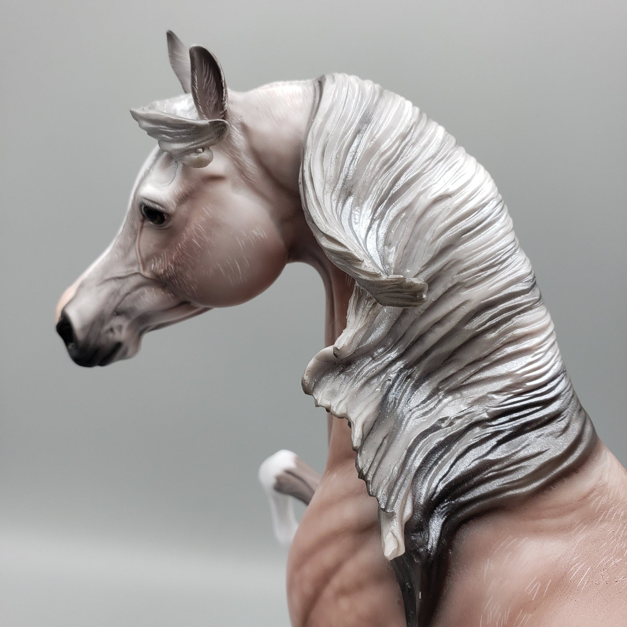 Dynasty OOAK Dappled Rose Grey Arab Stallion By Angela Marleau Equilocity Best Offers 7/15/23 EQ23