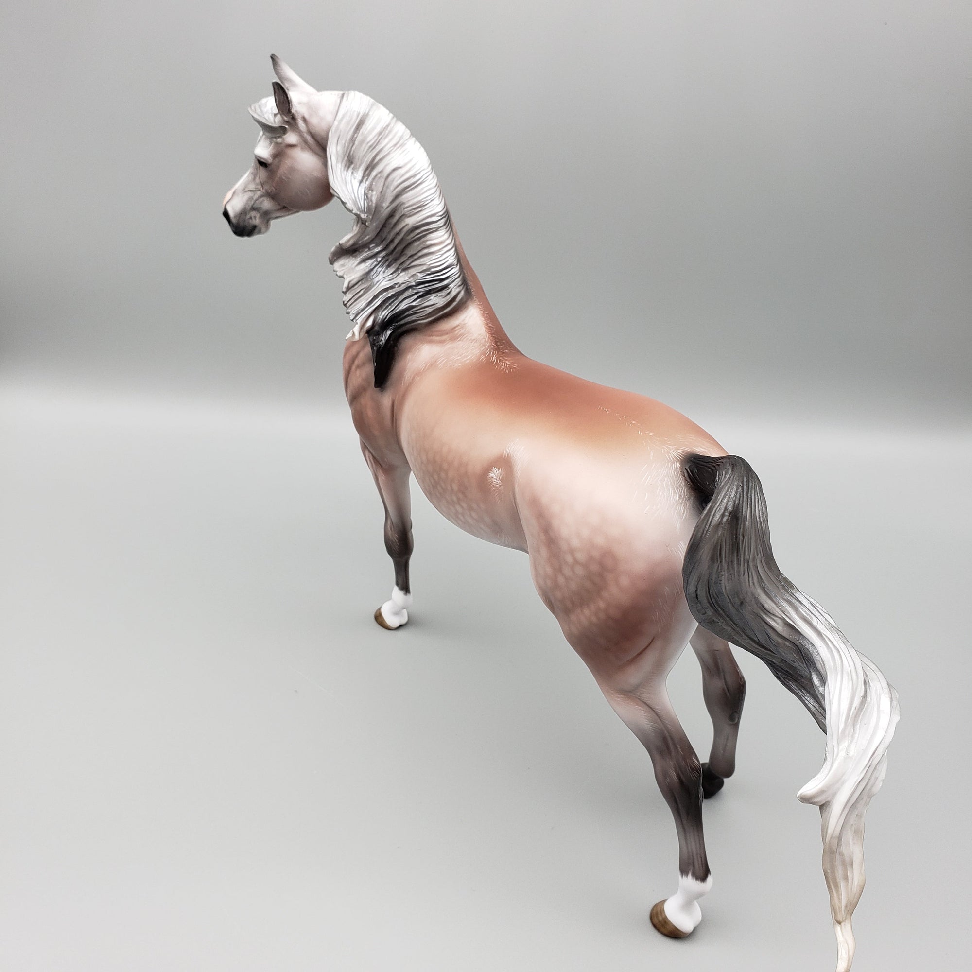 Dynasty OOAK Dappled Rose Grey Arab Stallion By Angela Marleau Equilocity Best Offers 7/15/23 EQ23