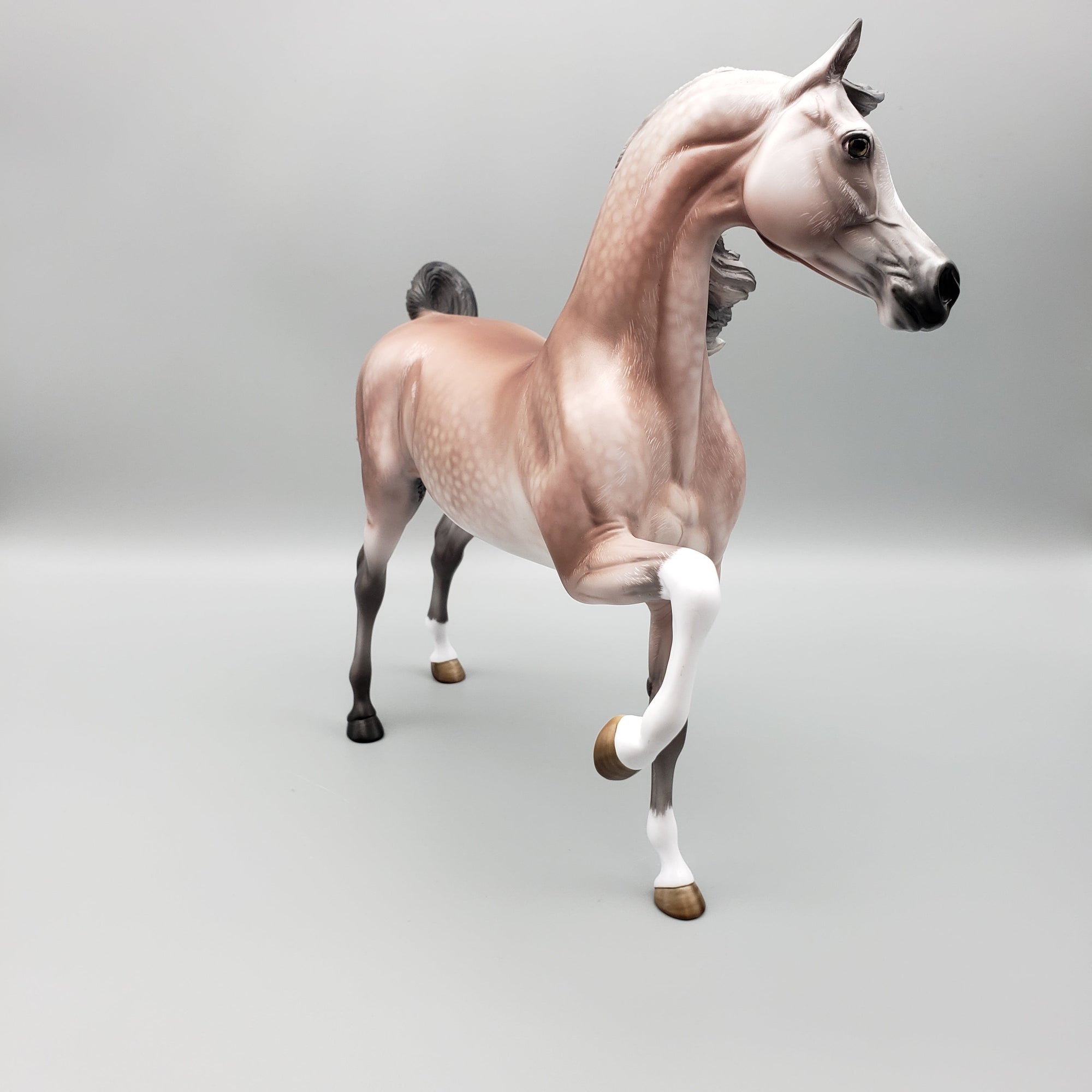 Dynasty OOAK Dappled Rose Grey Arab Stallion By Angela Marleau Equilocity Best Offers 7/15/23 EQ23