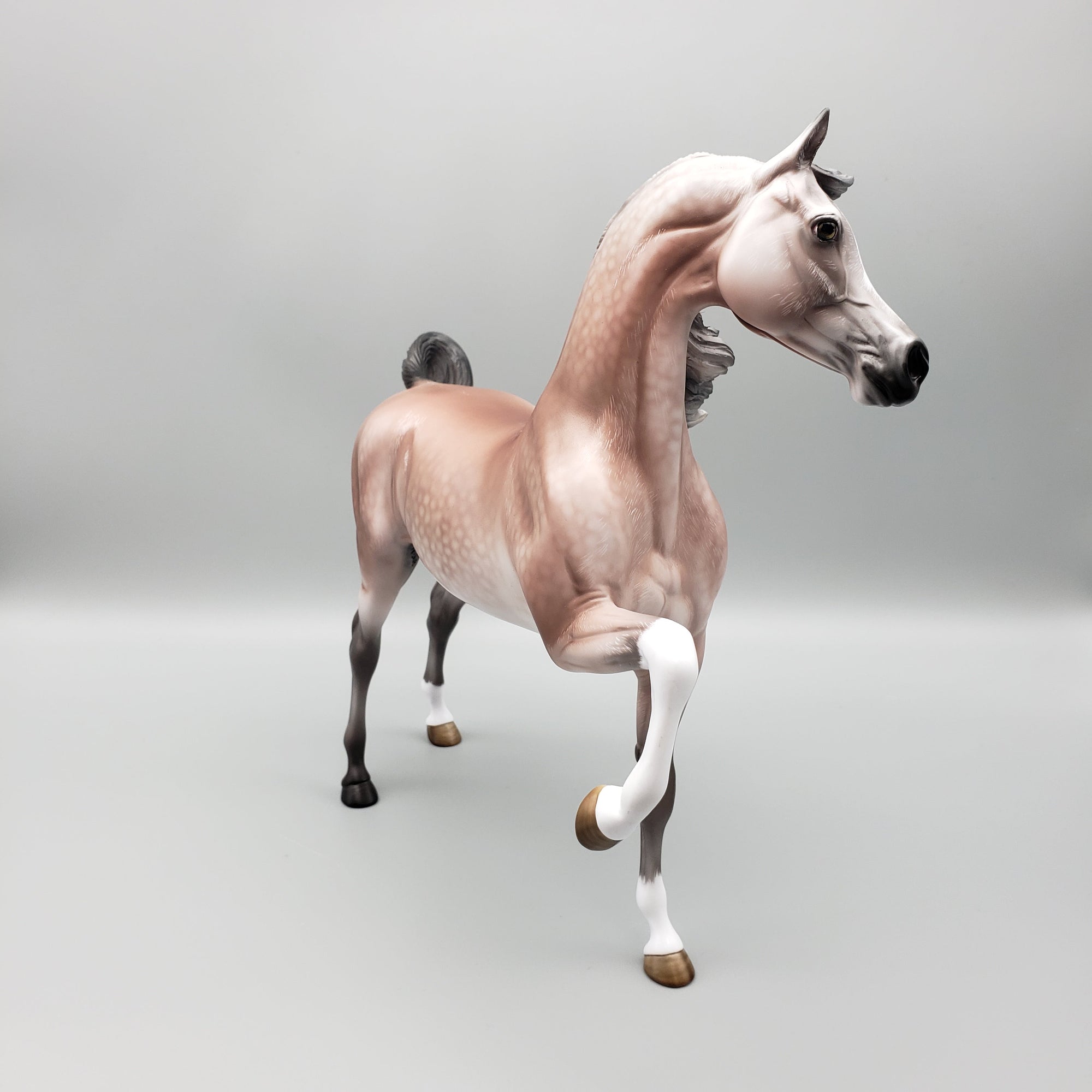 Dynasty OOAK Dappled Rose Grey Arab Stallion By Angela Marleau Equilocity Best Offers 7/15/23 EQ23