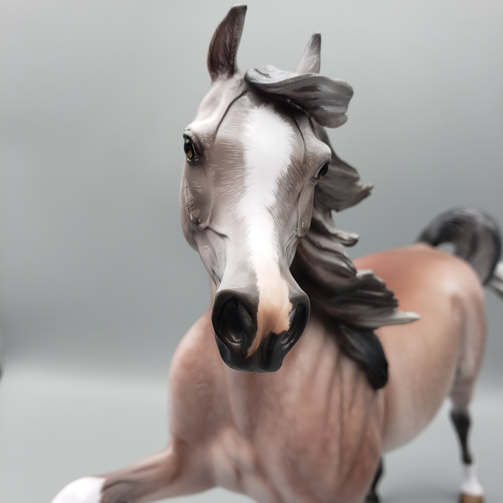 Dynasty OOAK Dappled Rose Grey Arab Stallion By Angela Marleau Equilocity Best Offers 7/15/23 EQ23