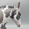 Patina OOAK Dun Pinto Drastic Custom Kicking Mule Painted By Jess Hamill Equilocity Best Offers 7/15/23 EQ23