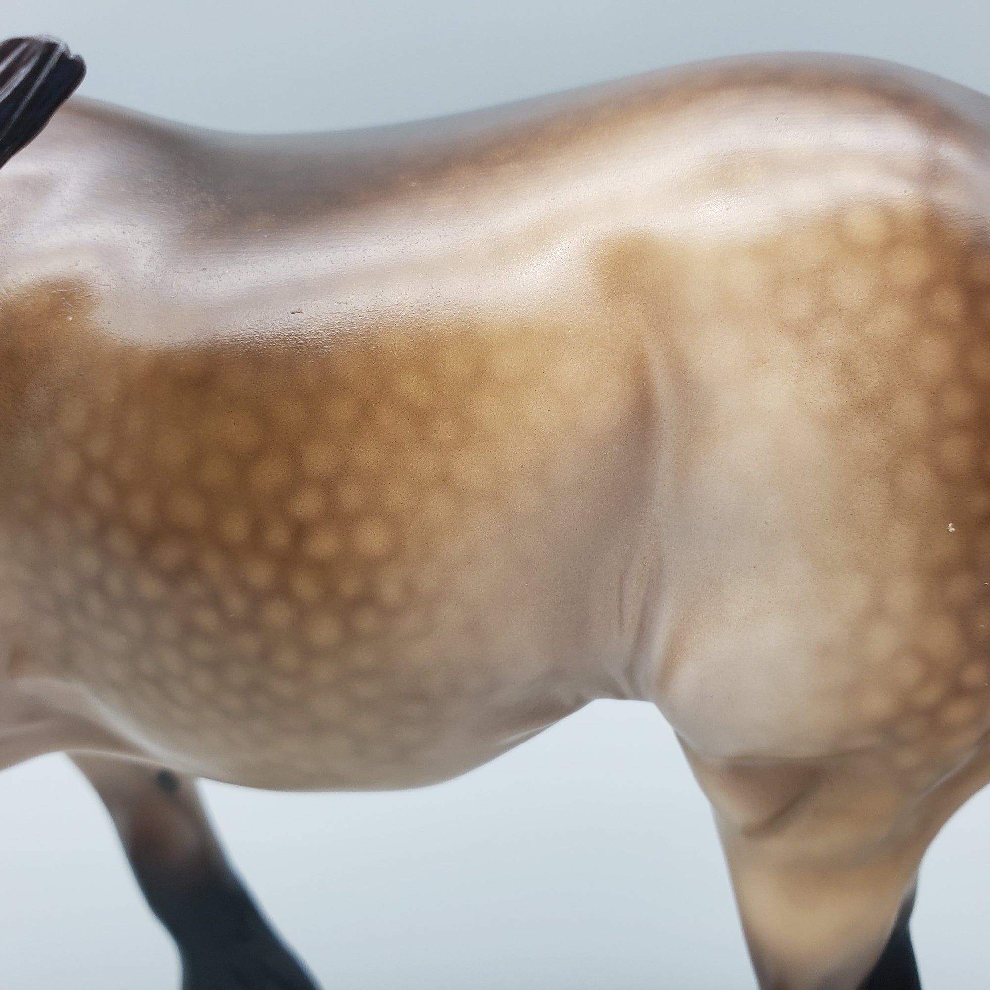 Arcturus OOAK Dappled Sooty Buckskin Cob By Ellen Robbins Equilocity Best Offers 7/15/23 EQ23