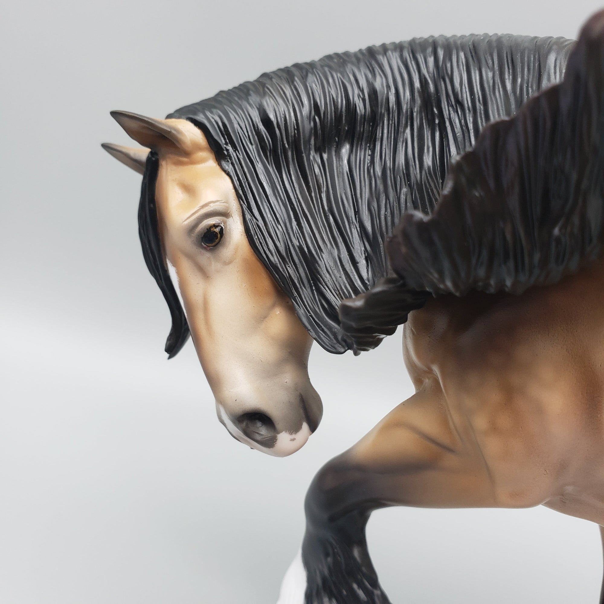 Arcturus OOAK Dappled Sooty Buckskin Cob By Ellen Robbins Equilocity Best Offers 7/15/23 EQ23