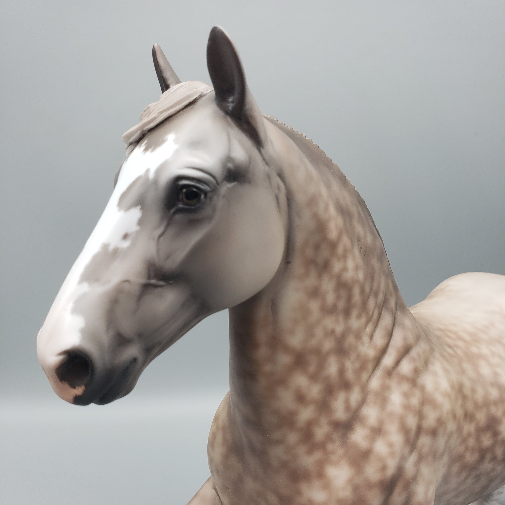 Sandstone OOAK Silver Dapple Heavy Draft By Jess Hamill  Equilocity Best Offers 7/15/23 EQ23