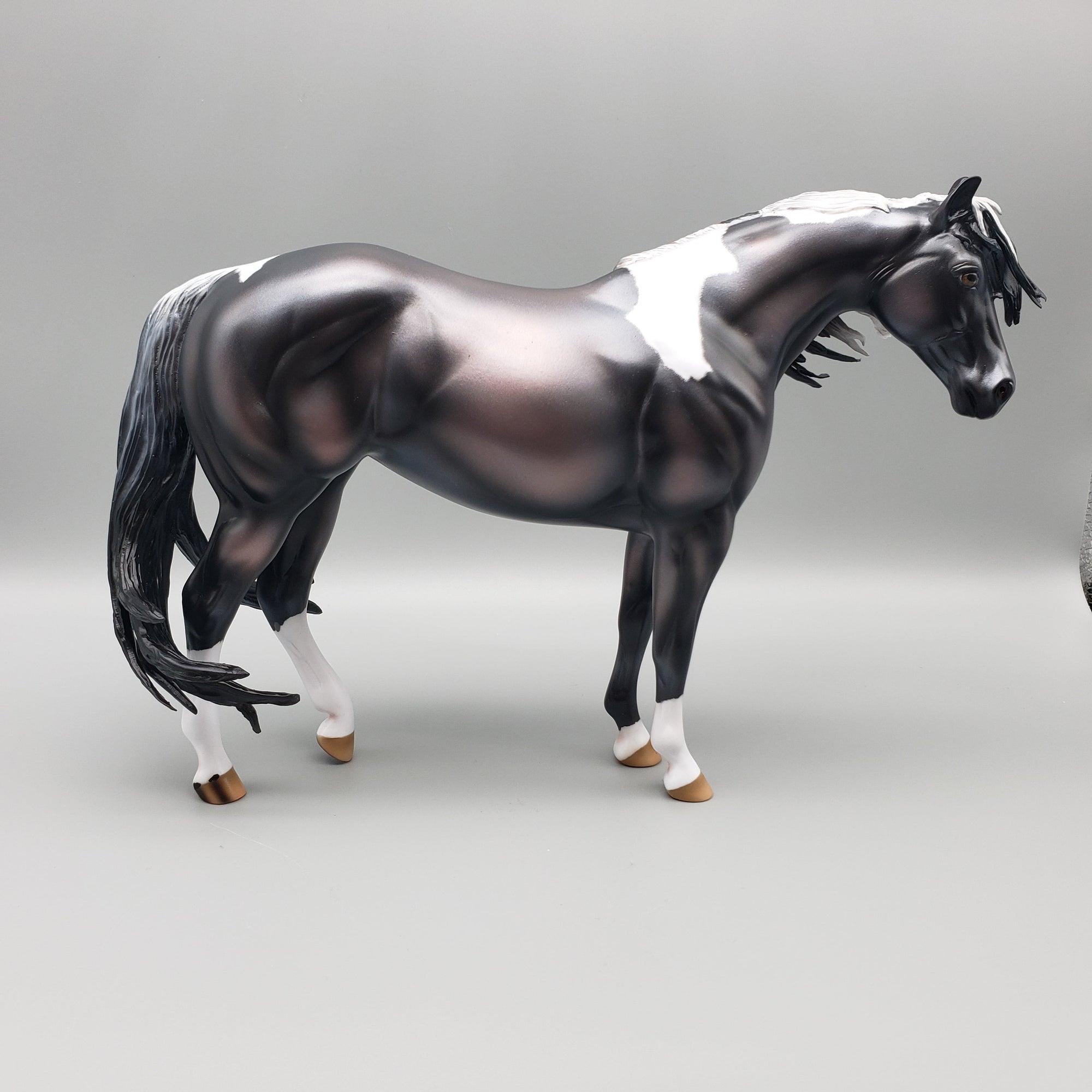 Reflection Of Stars Basket 6 Equilocity 2023 Black and White Mustang By Ashley Palmer  EQ23