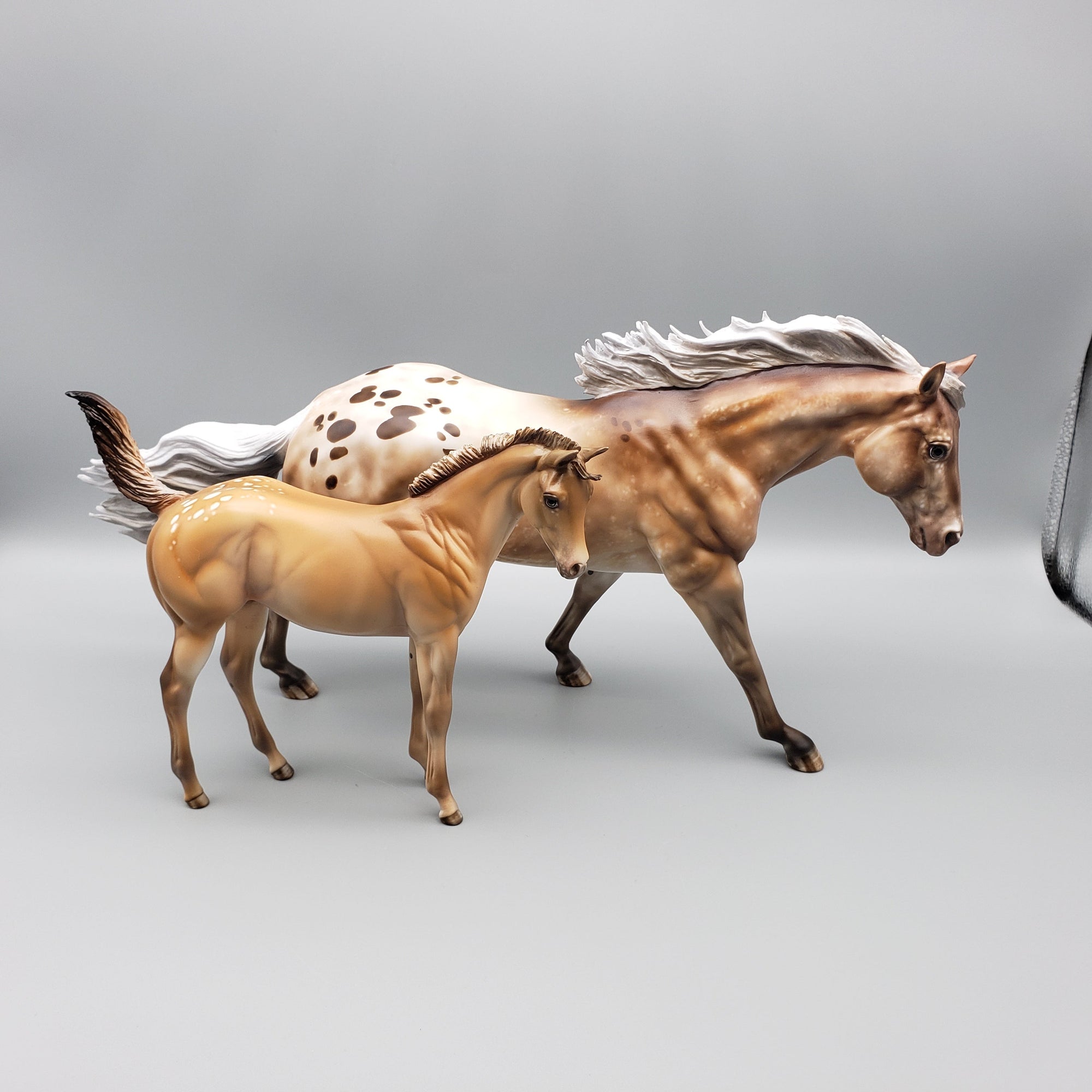 Approaching the Storm Basket 3 Equilocity 2023 Palomino Appaloosa Remington and Weanling by Julie KeimEQ23