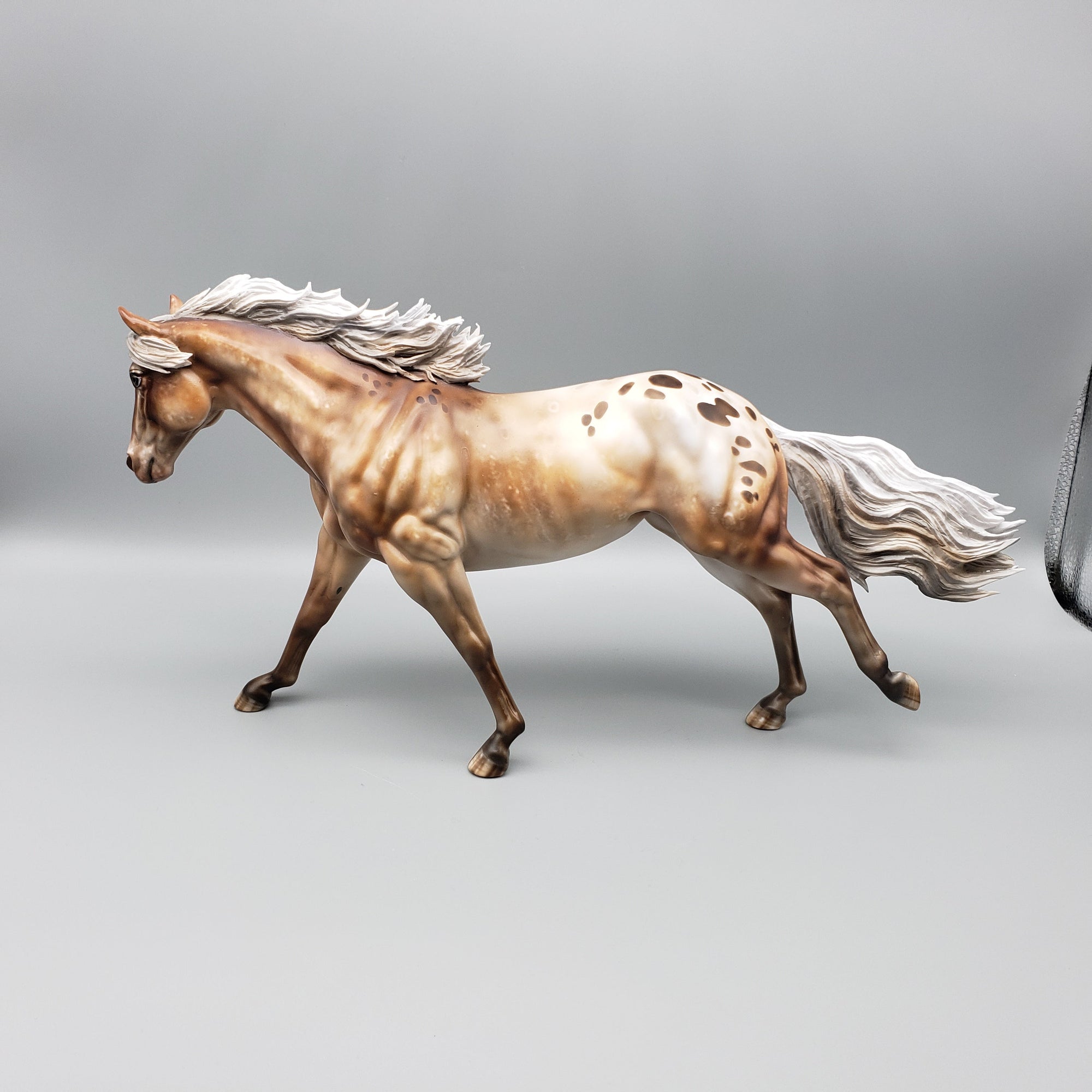 Approaching the Storm Basket 3 Equilocity 2023 Palomino Appaloosa Remington and Weanling by Julie KeimEQ23