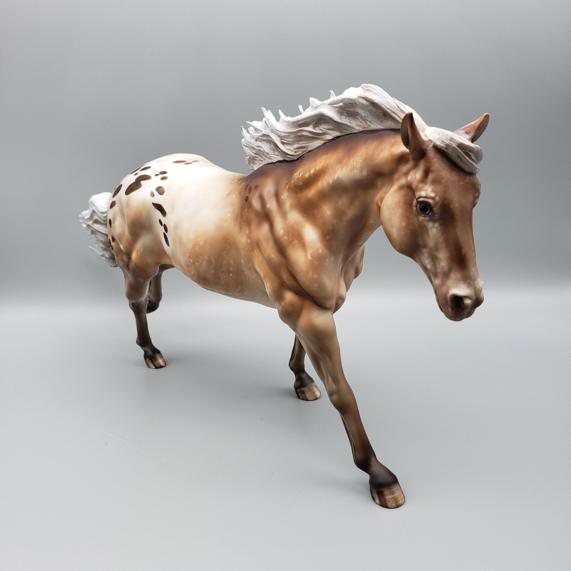 Approaching the Storm Basket 3 Equilocity 2023 Palomino Appaloosa Remington and Weanling by Julie KeimEQ23
