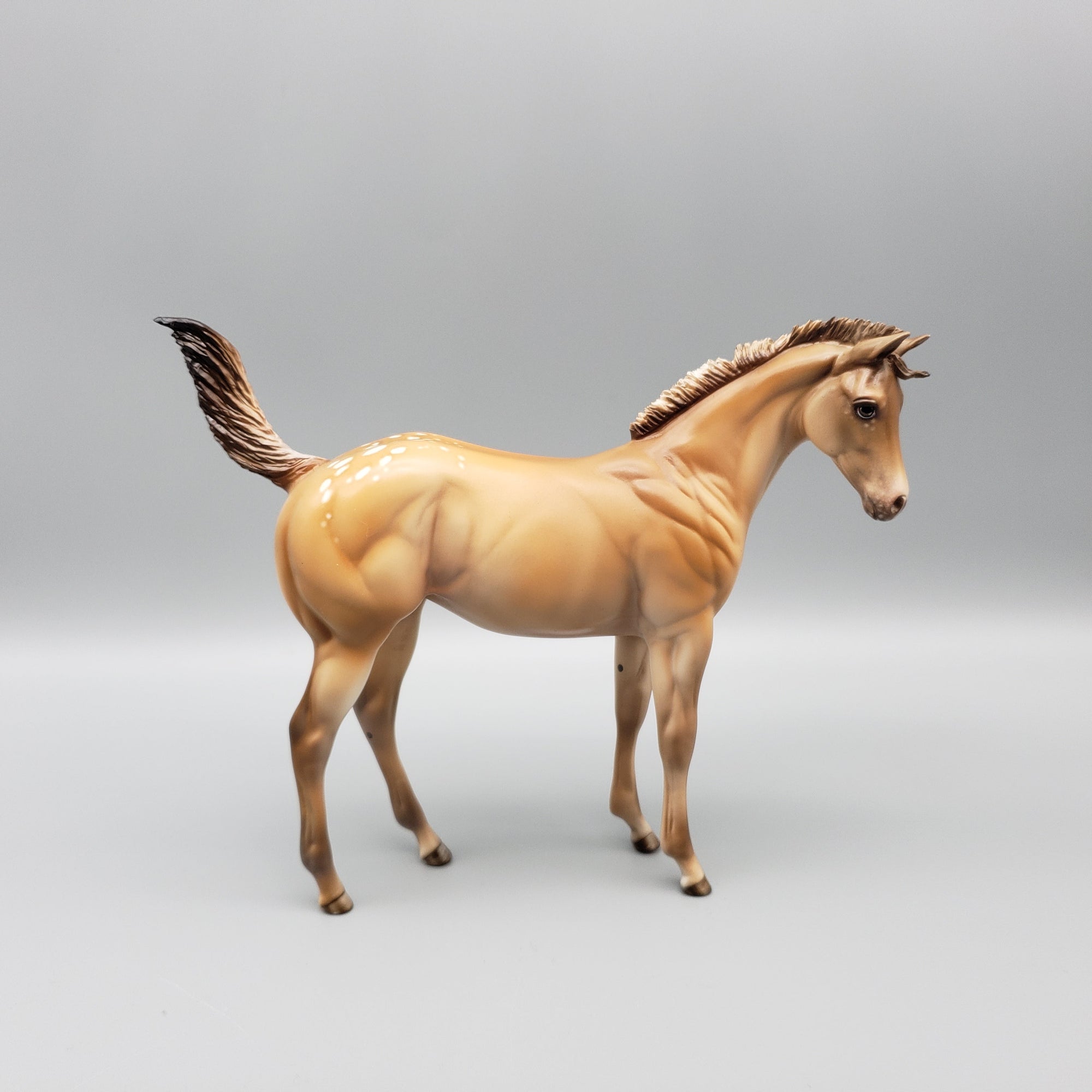 Approaching the Storm Basket 3 Equilocity 2023 Palomino Appaloosa Remington and Weanling by Julie KeimEQ23