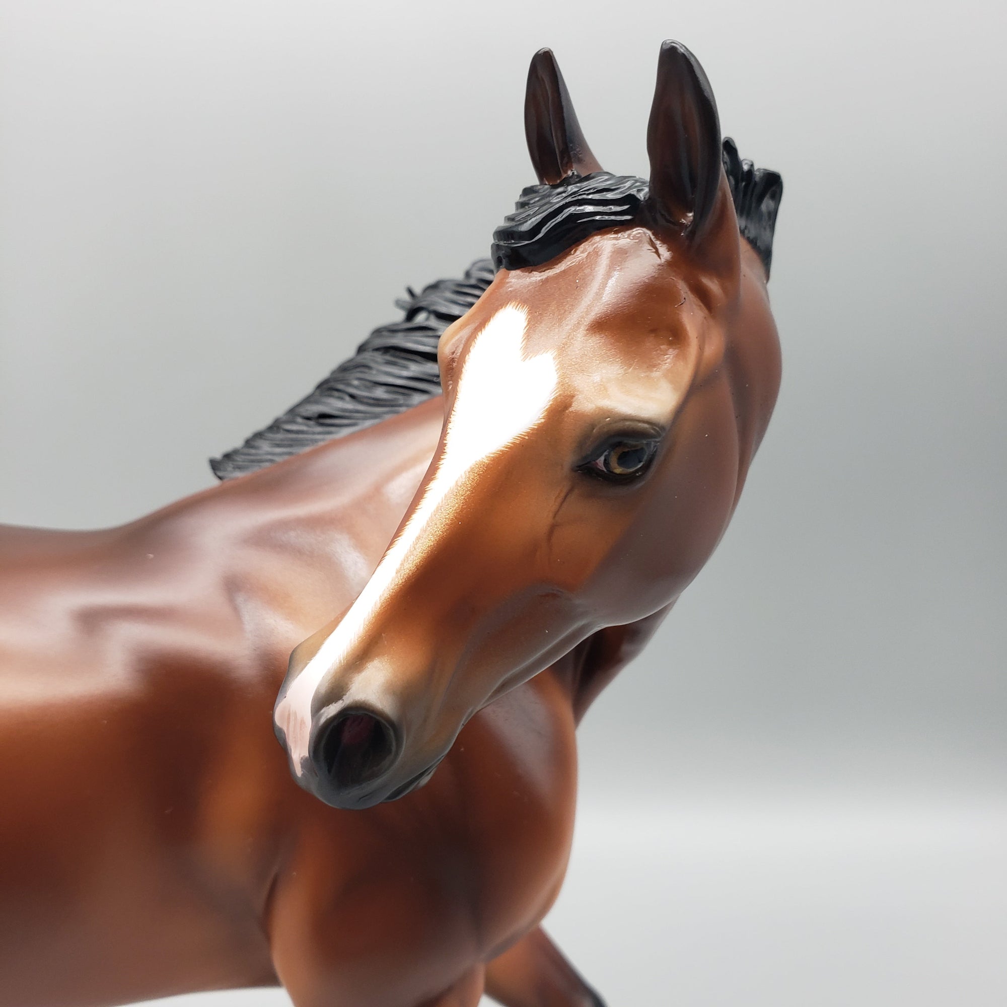 Last Ride Basket 4 Equilocity 2023 - OOAK Bay Thoroughbred By Ashley Palmer  EQ23