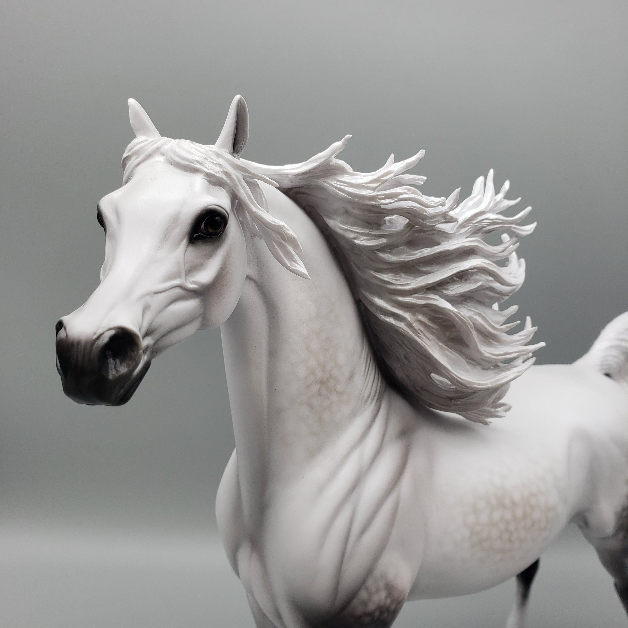 Out From The Night Basket 13 Equilocity 2023 OOAK Dappled Grey Arabian By Carrie Keller EQ23