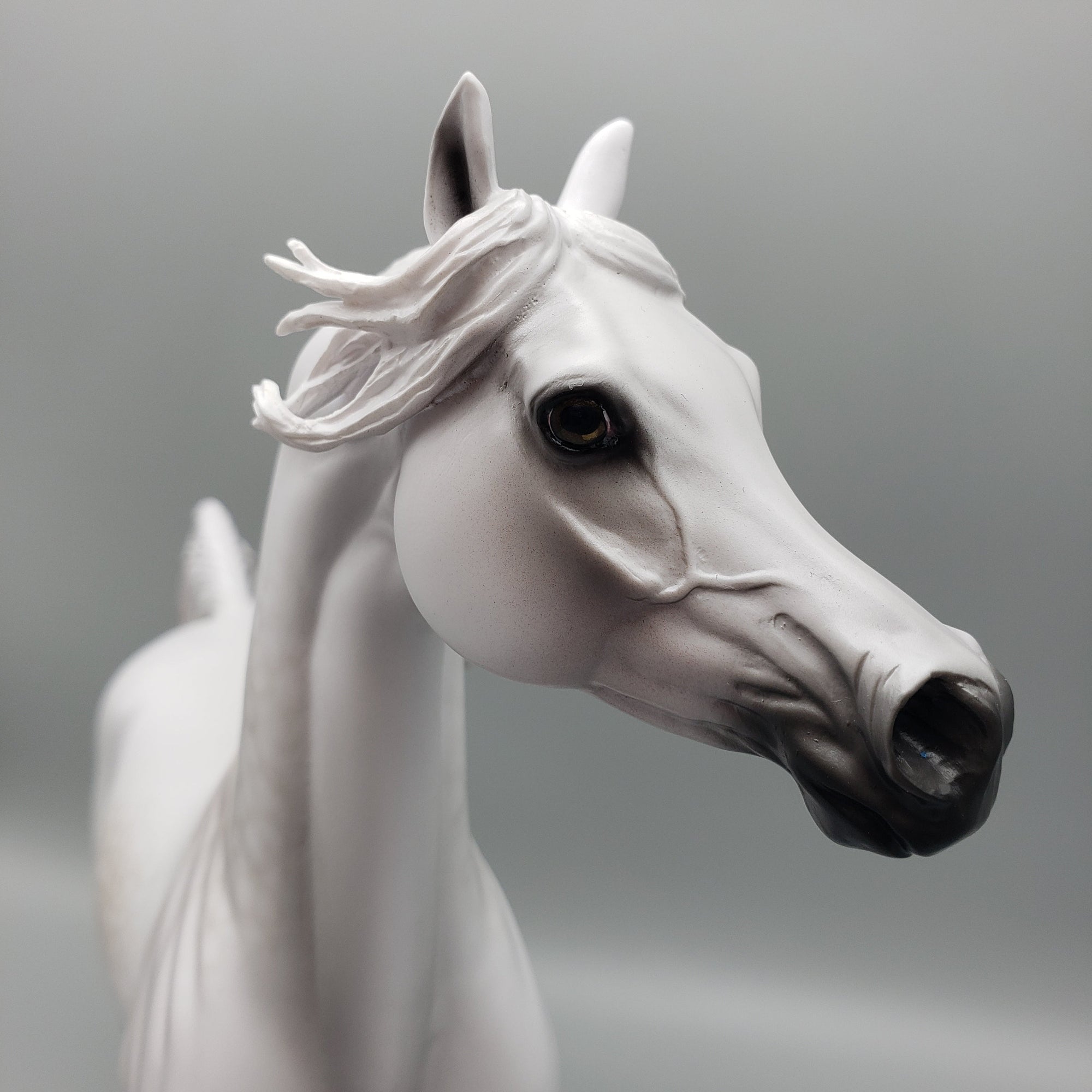 Out From The Night Basket 13 Equilocity 2023 OOAK Dappled Grey Arabian By Carrie Keller EQ23