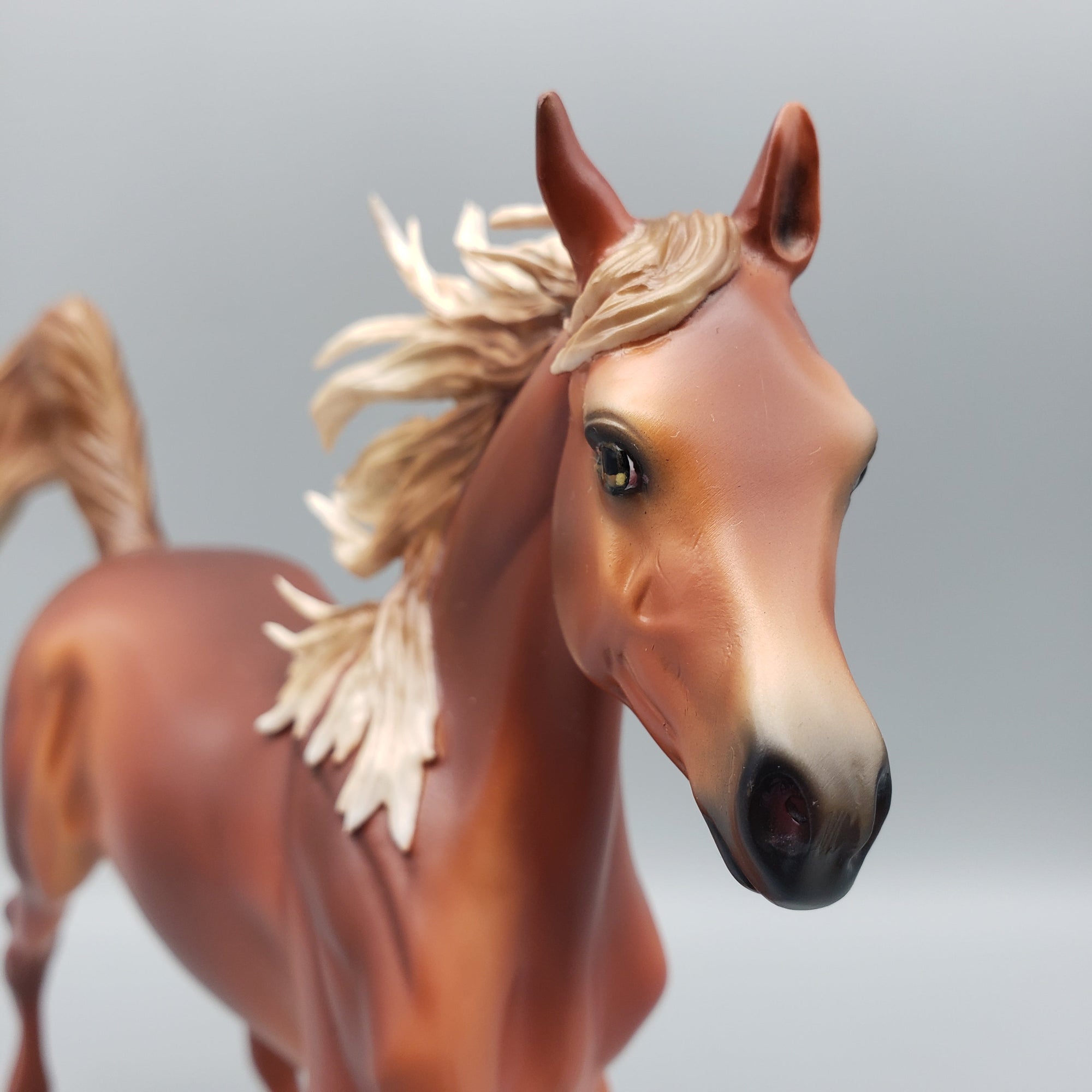 Golden Basket 14 Equilocity 2023 OOAK Flaxen Chestnut Yearling By Ashley Palmer EQ23