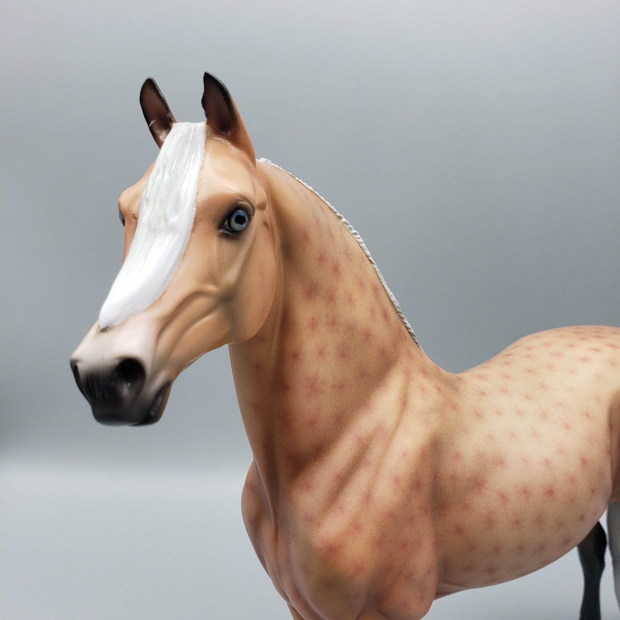 Dreamwalker Basket 7 Equilocity 2023 Decorator Morgan By Ellen Robbins EQ23