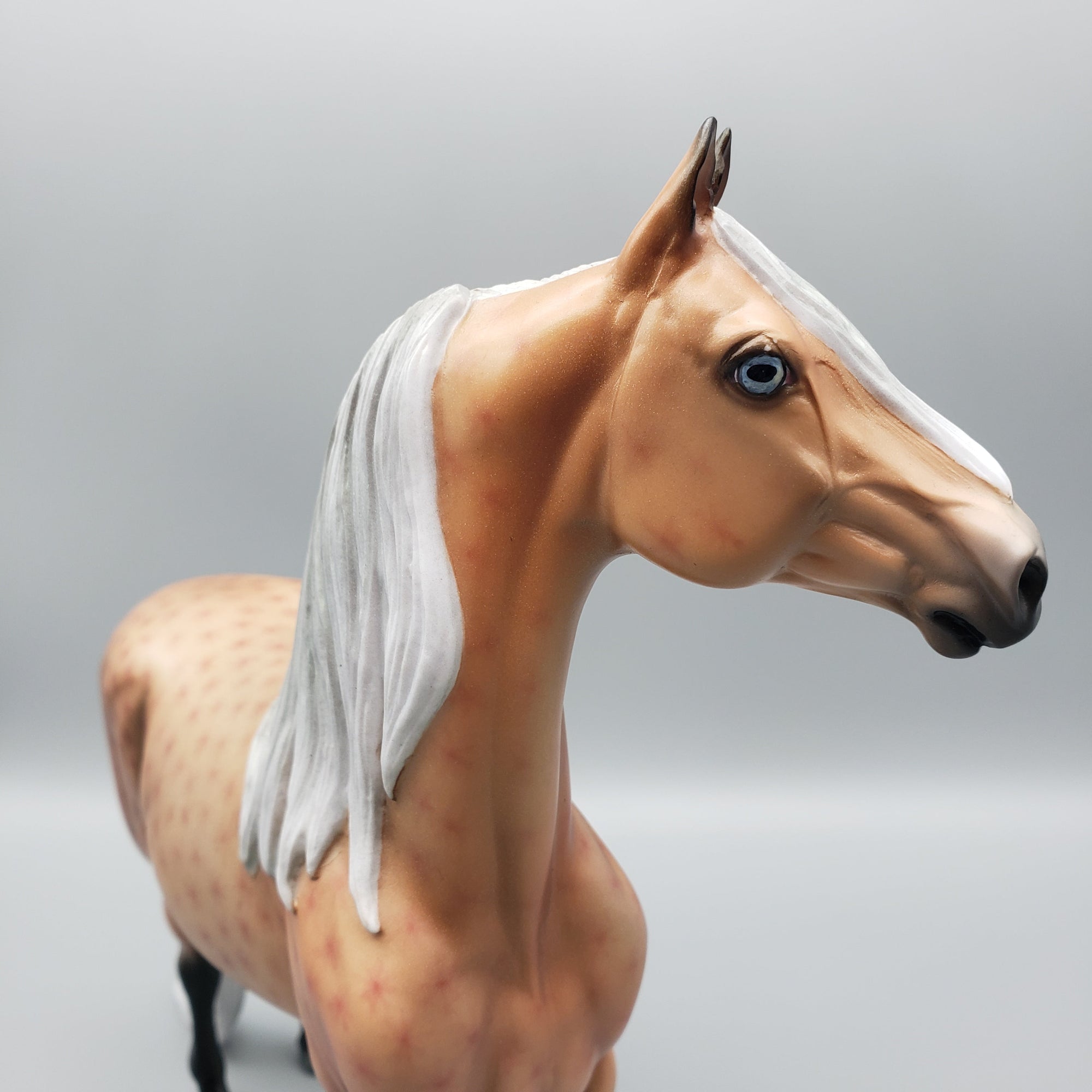 Dreamwalker Basket 7 Equilocity 2023 Decorator Morgan By Ellen Robbins EQ23