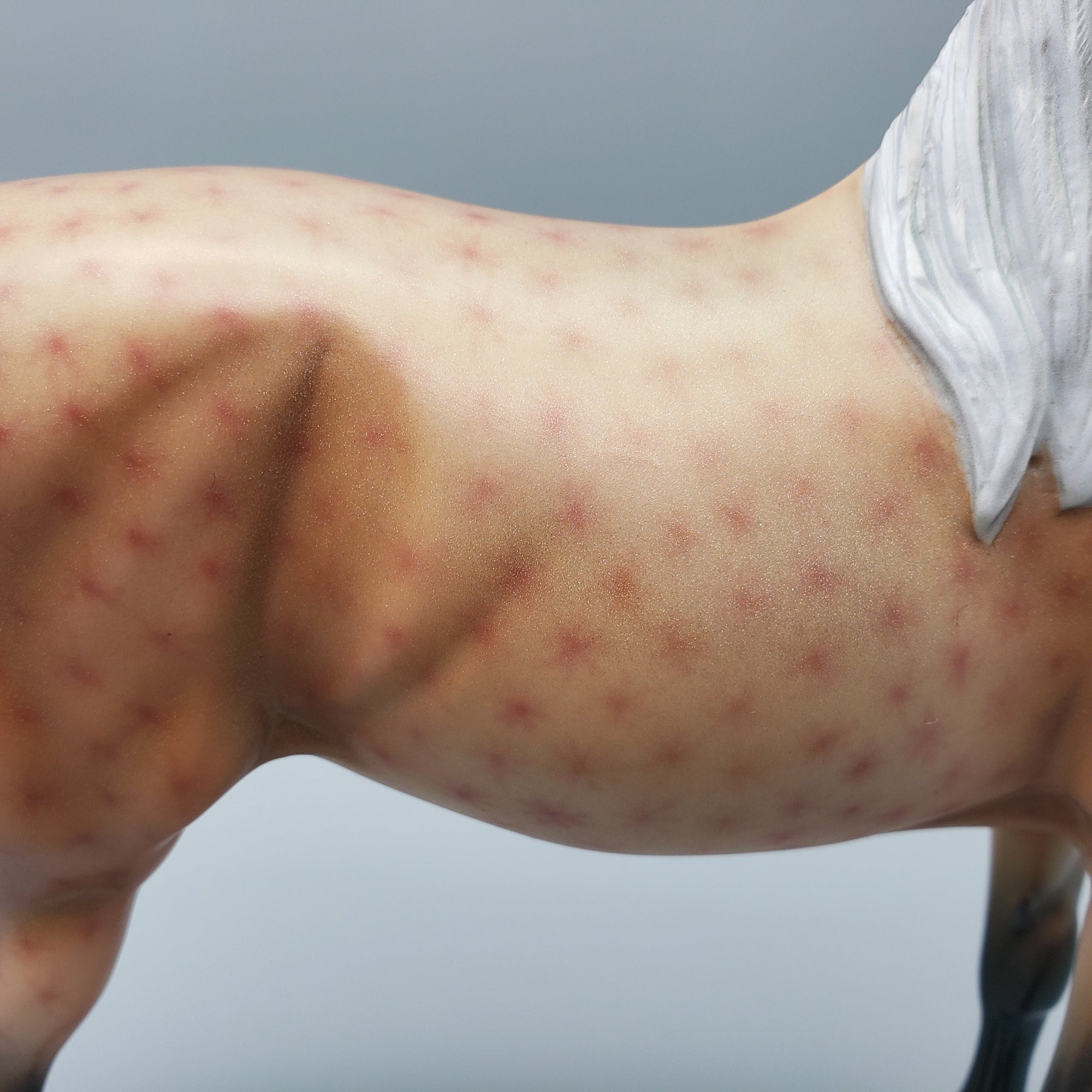 Dreamwalker Basket 7 Equilocity 2023 Decorator Morgan By Ellen Robbins EQ23