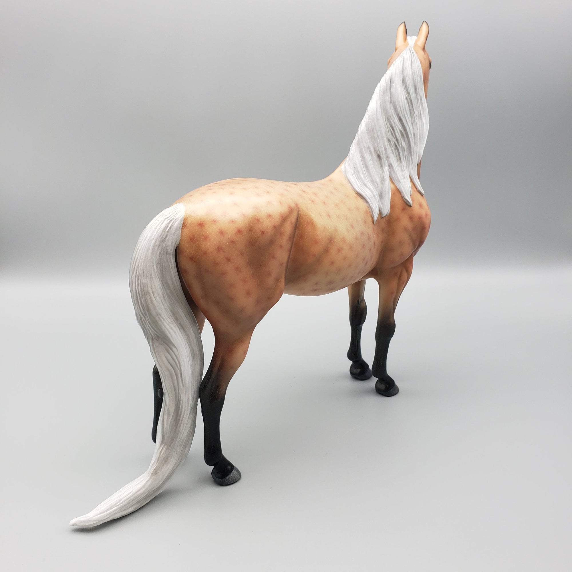 Dreamwalker Basket 7 Equilocity 2023 Decorator Morgan By Ellen Robbins EQ23