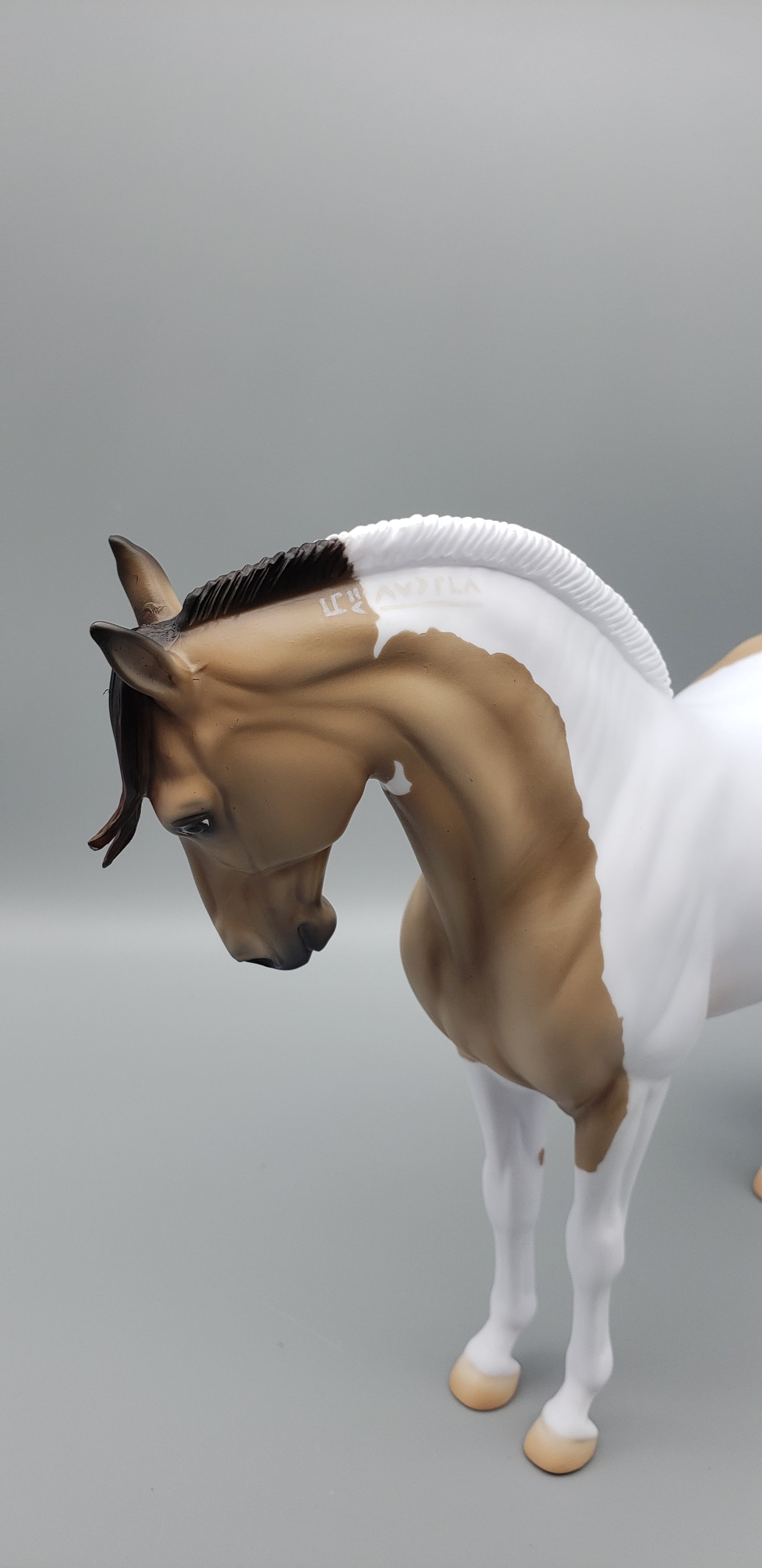 Inspired By Winter Buckskin Tobiano Andalusian Mare by Jess Hamill AoTH23