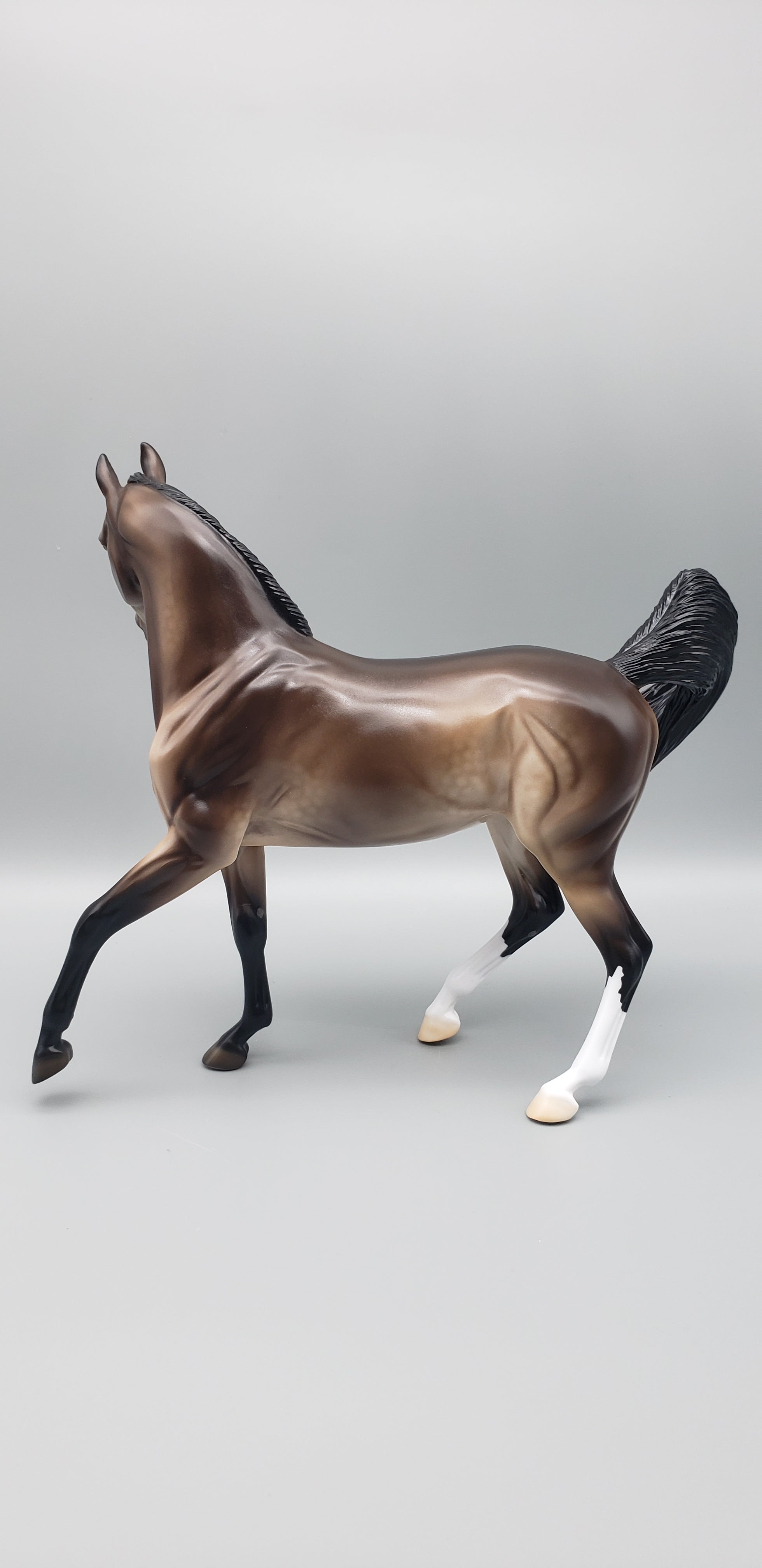 Kola Customized Sooty Buckskin Arab Mare By Ellen Robbins AoTH23