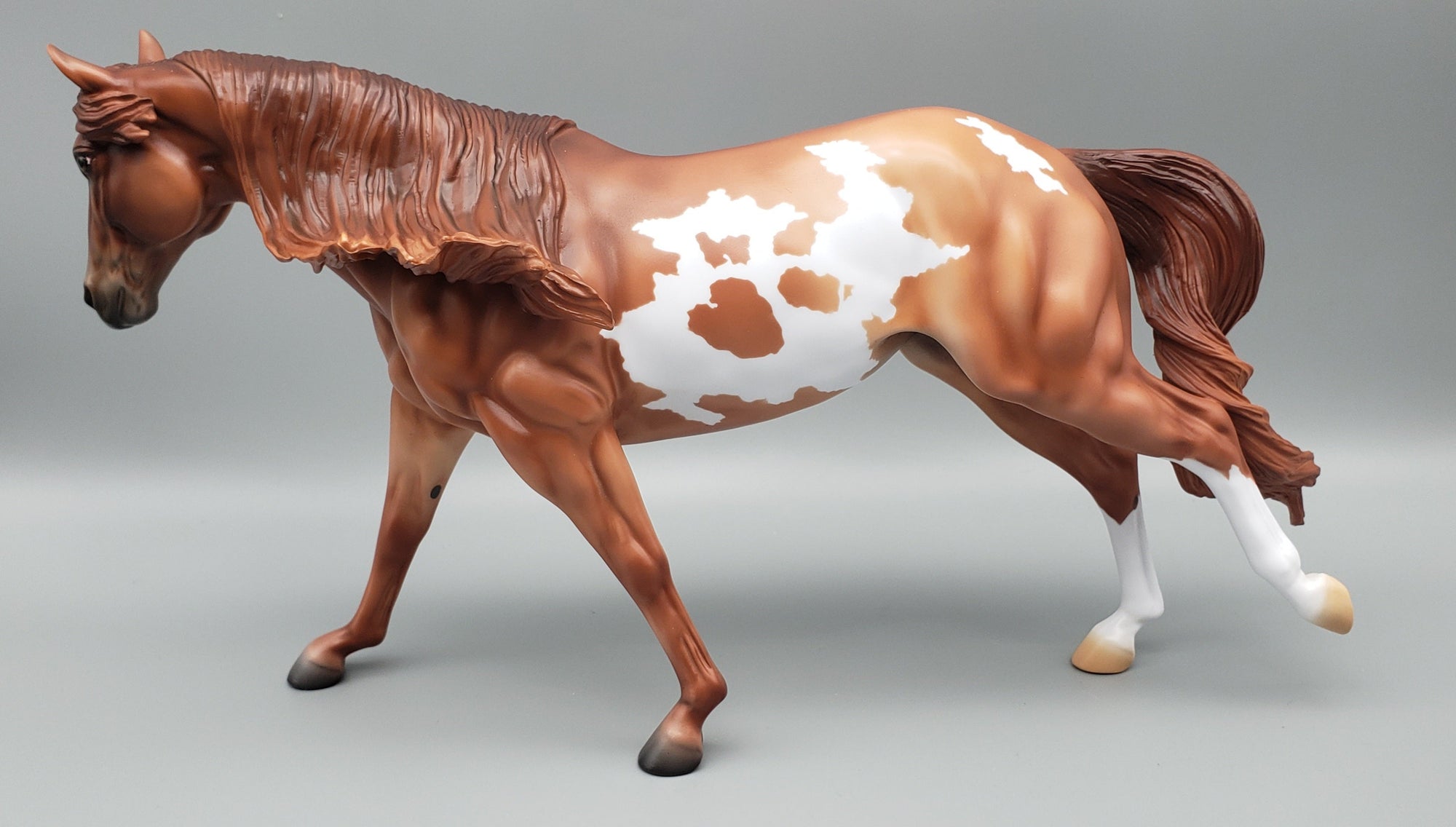 The Perfect Horse - Remy - Sunburned Black Variation of the Running Stock Horse MARE By Angela Marleau AoTH23