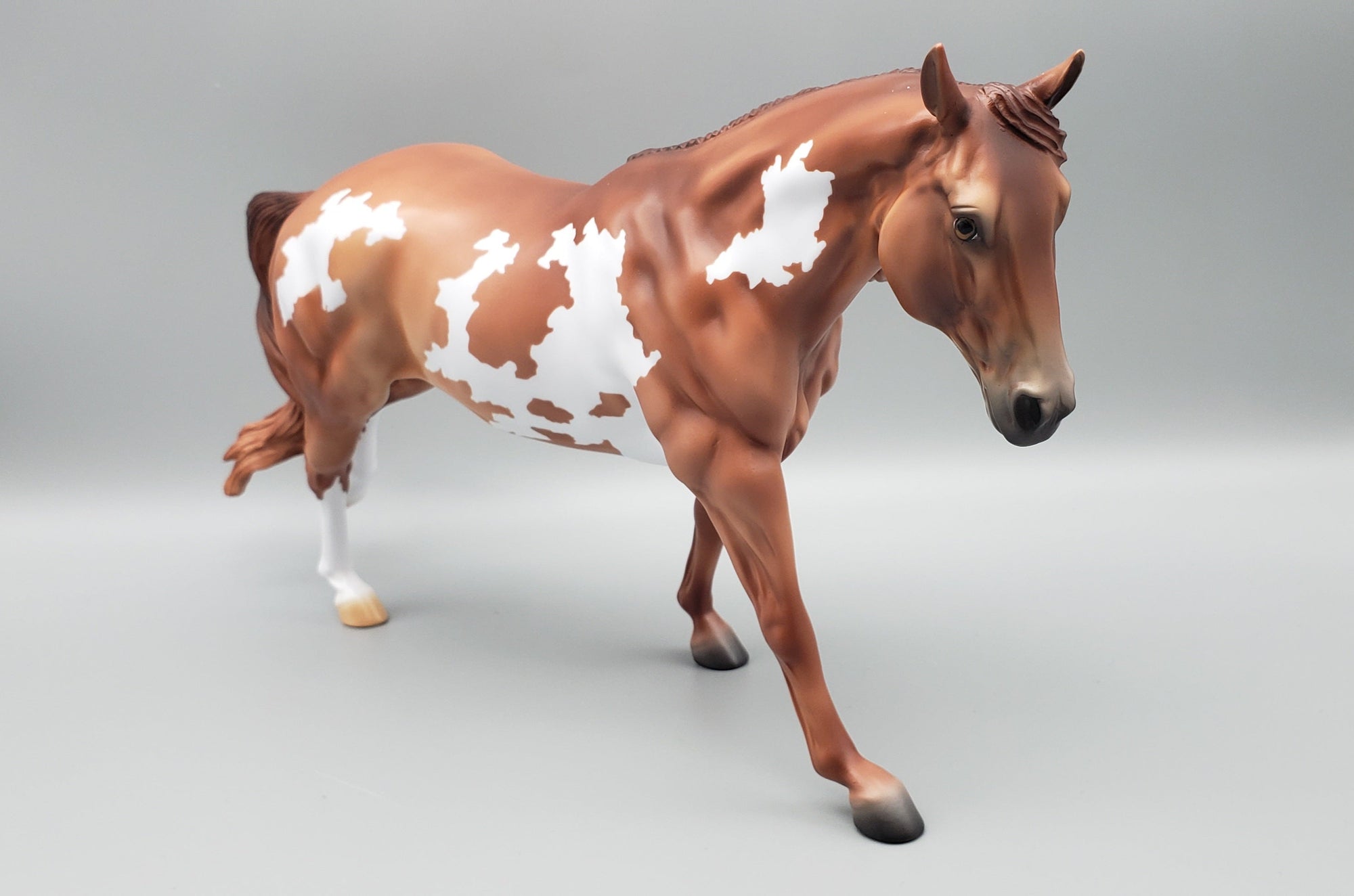 The Perfect Horse - Remy - Sunburned Black Variation of the Running Stock Horse MARE By Angela Marleau AoTH23