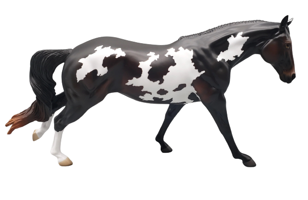 The Perfect Horse - Remy - Sunburned Black Variation of the Running Stock Horse MARE By Angela Marleau AoTH23