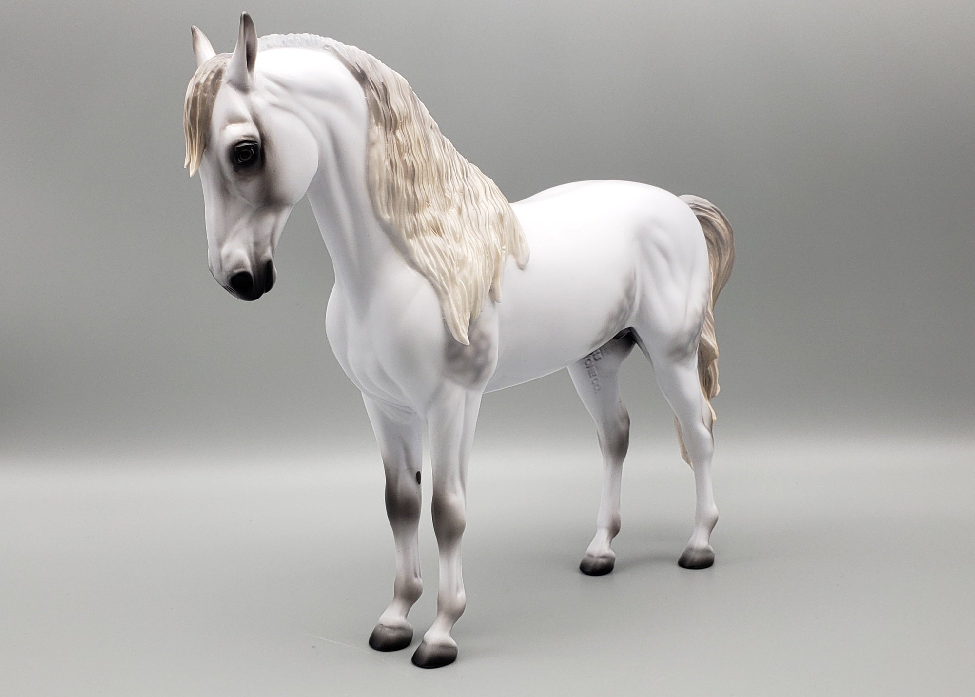 Staring Gaze Of Faith Dappled Grey Andalusian By Ashley Palmer AoTH23