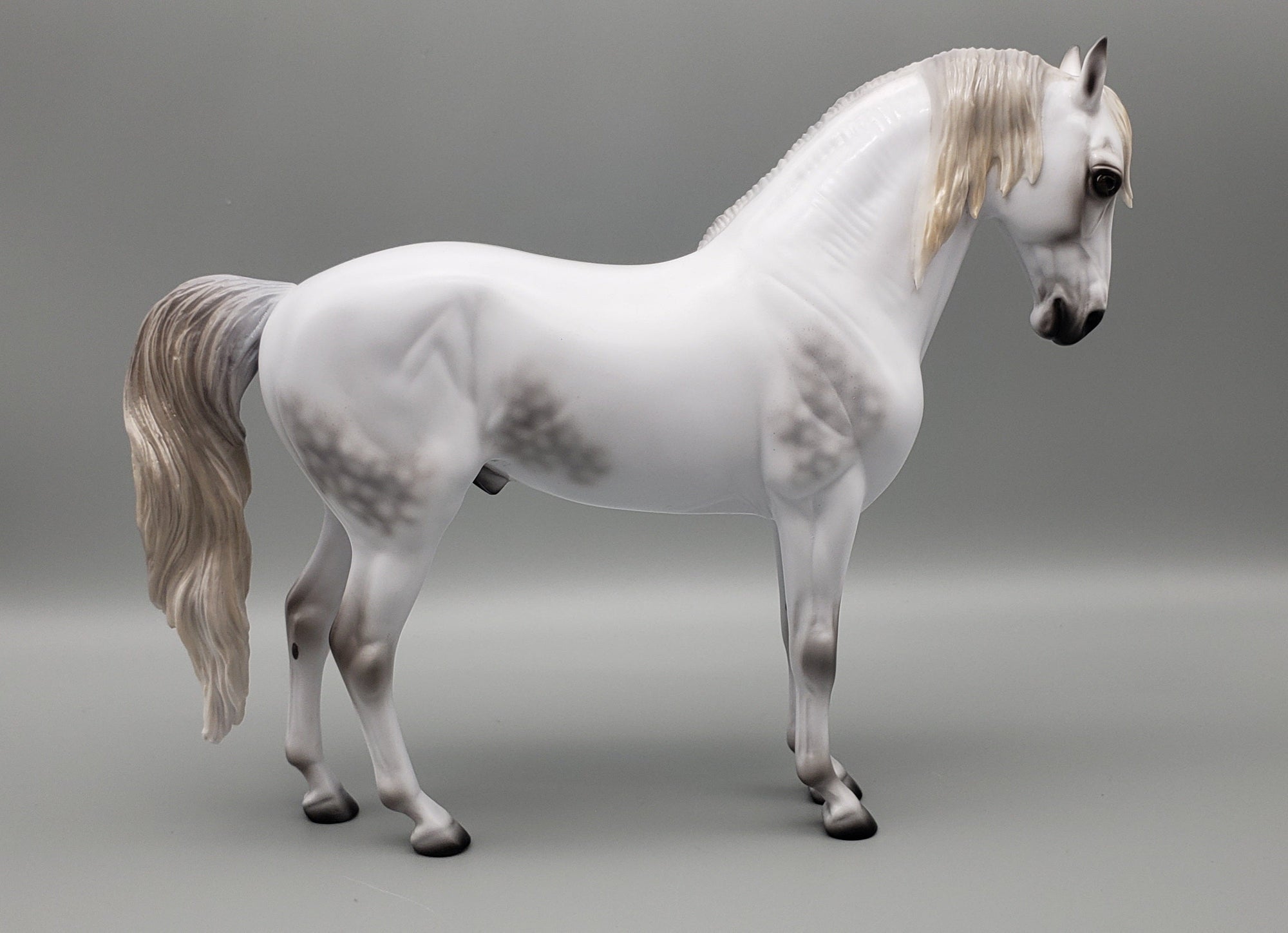 Staring Gaze Of Faith Dappled Grey Andalusian By Ashley Palmer AoTH23