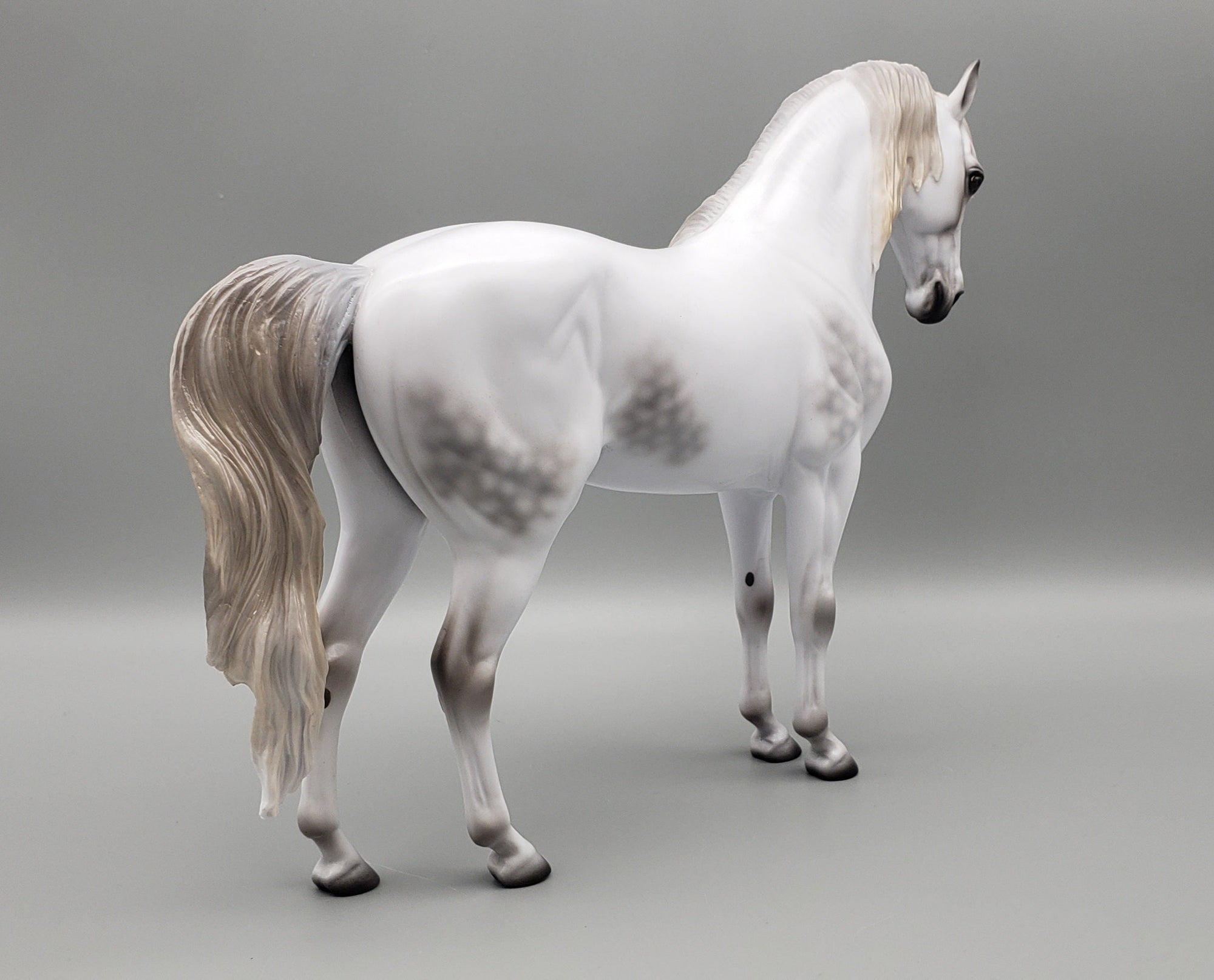 Staring Gaze Of Faith Dappled Grey Andalusian By Ashley Palmer AoTH23