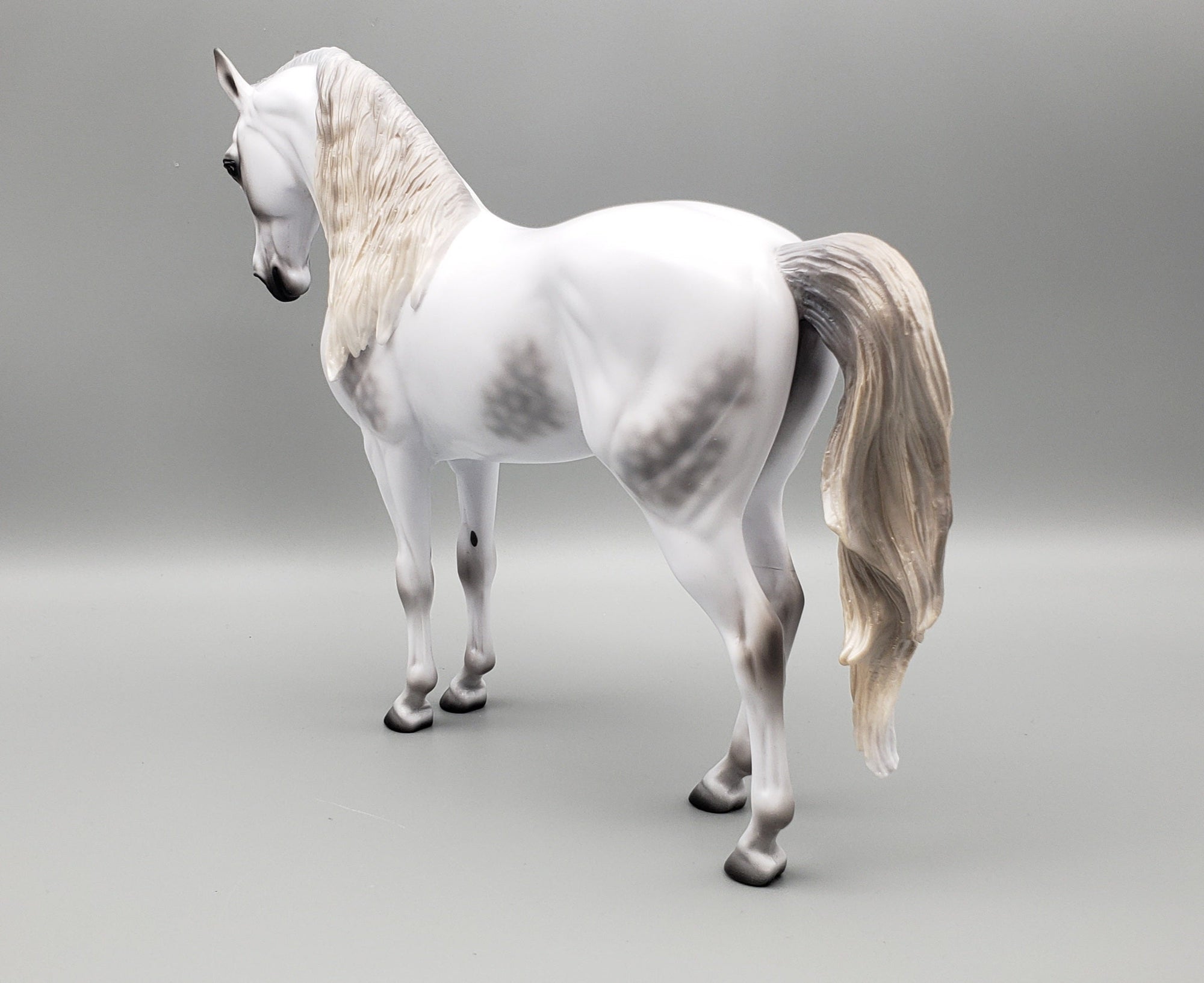 Staring Gaze Of Faith Dappled Grey Andalusian By Ashley Palmer AoTH23